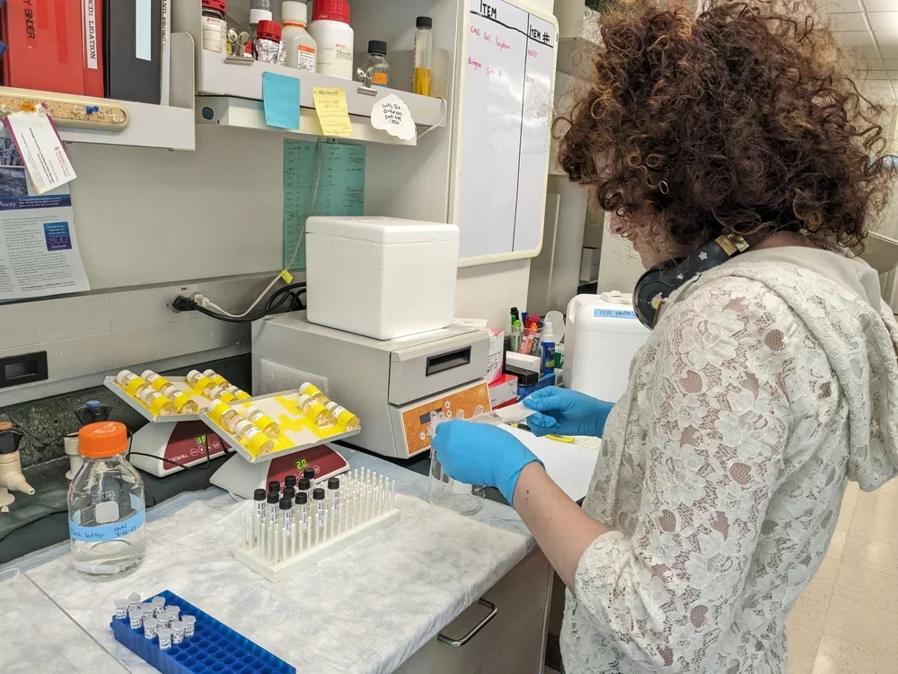 A scientist wearing blue gloves working in a laboratory, handling test tubes and equipment on the lab bench with various supplies and machines around her.