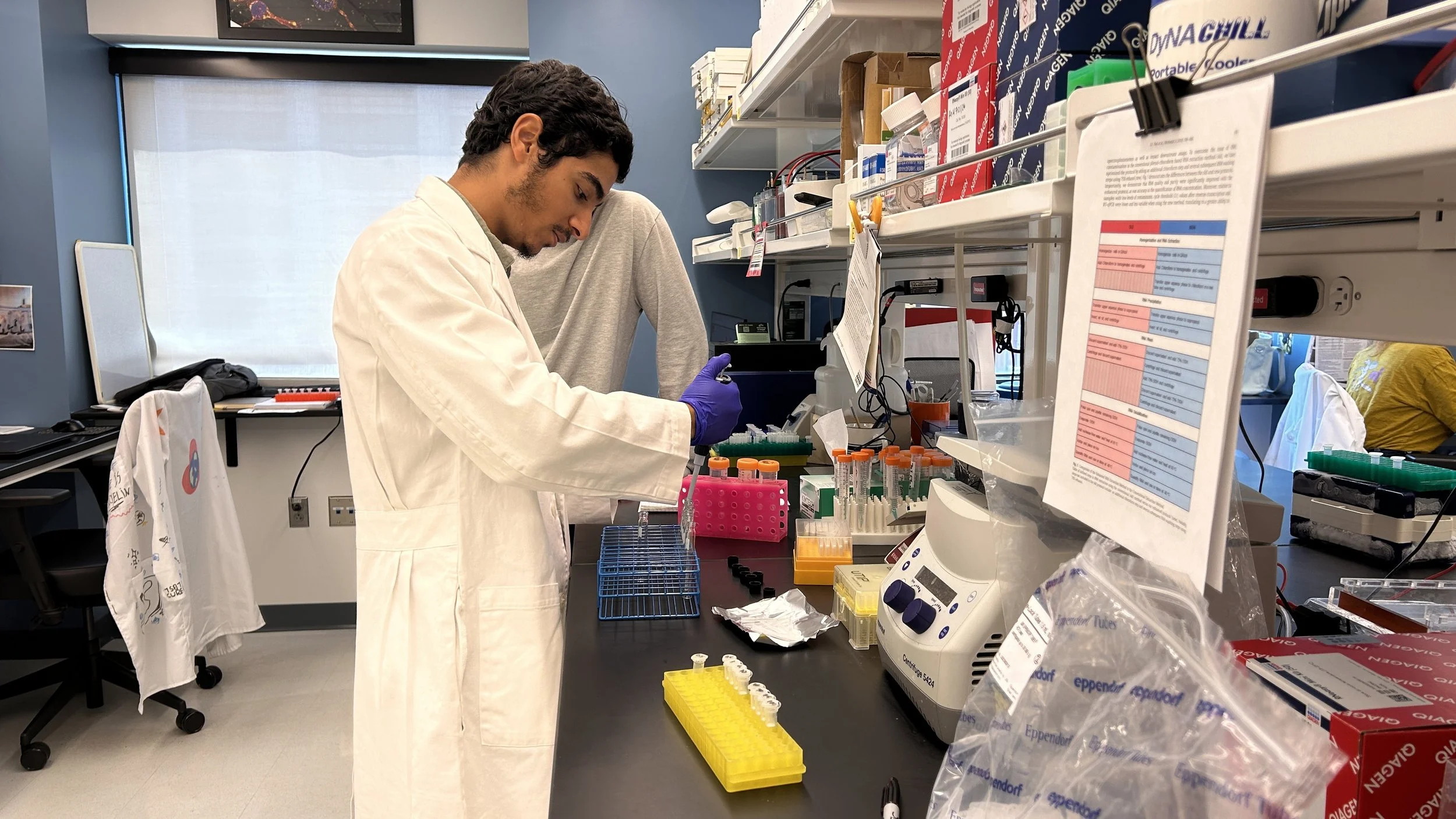 A scientist wearing a white coat and purple gloves is testing samples in a lab