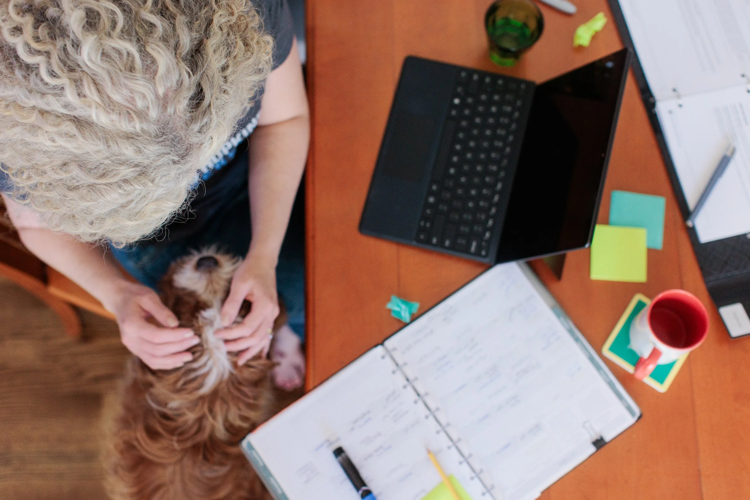 A person with curly blonde hair holding a small brown and white dog on their lap at a cluttered wooden desk. The desk has a black laptop, scattered papers, sticky notes, highlighters, a pen, a red mug, a green bottle, and some colorful paper clips.