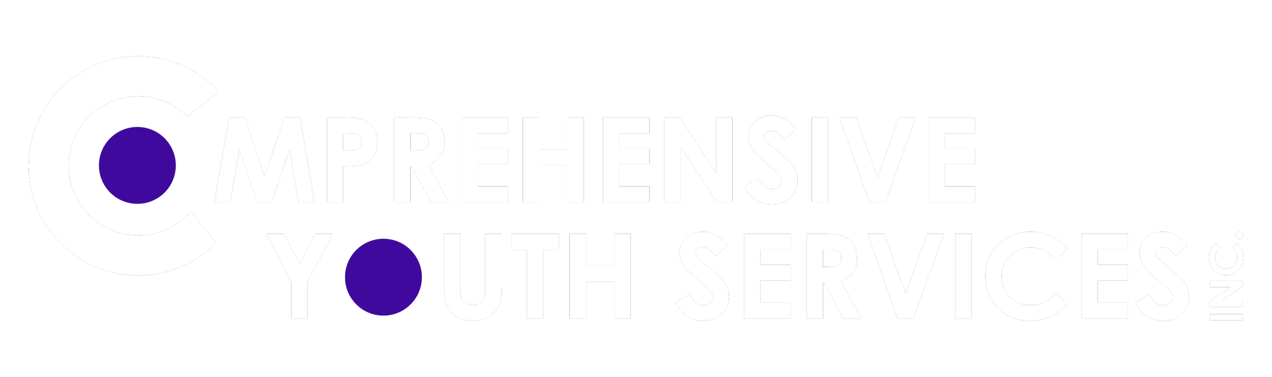 Logo of Comprehensive Youth Services with a stylized 'C' and purple circles.
