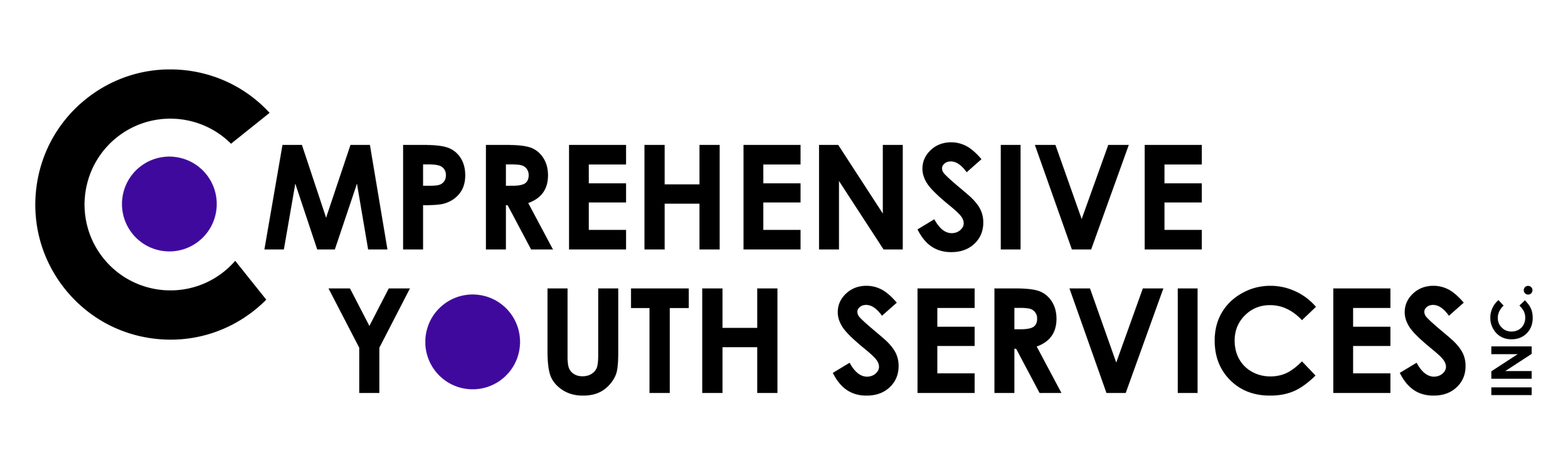 The Comprehensive Youth Services logo