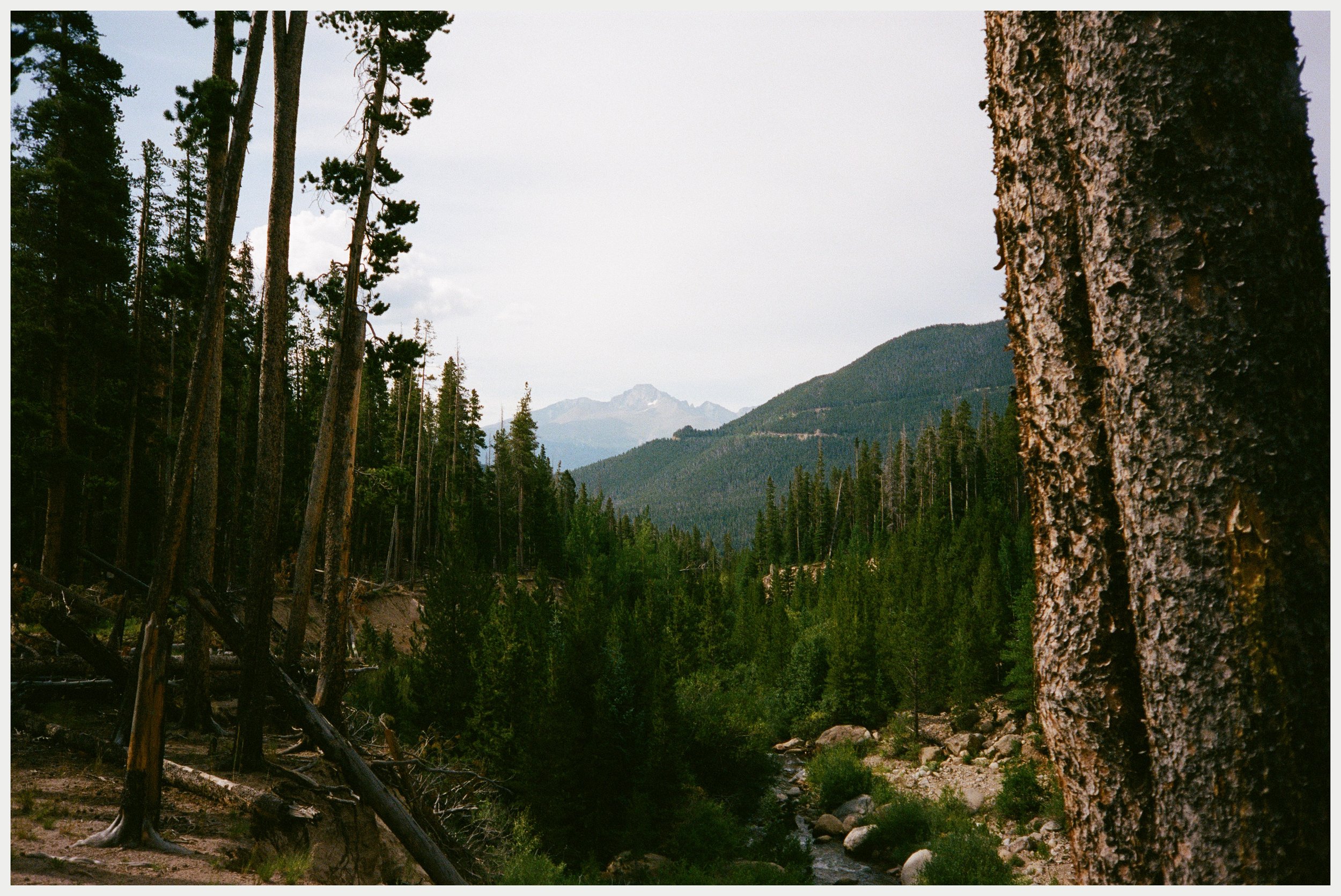 Colorado (2024)