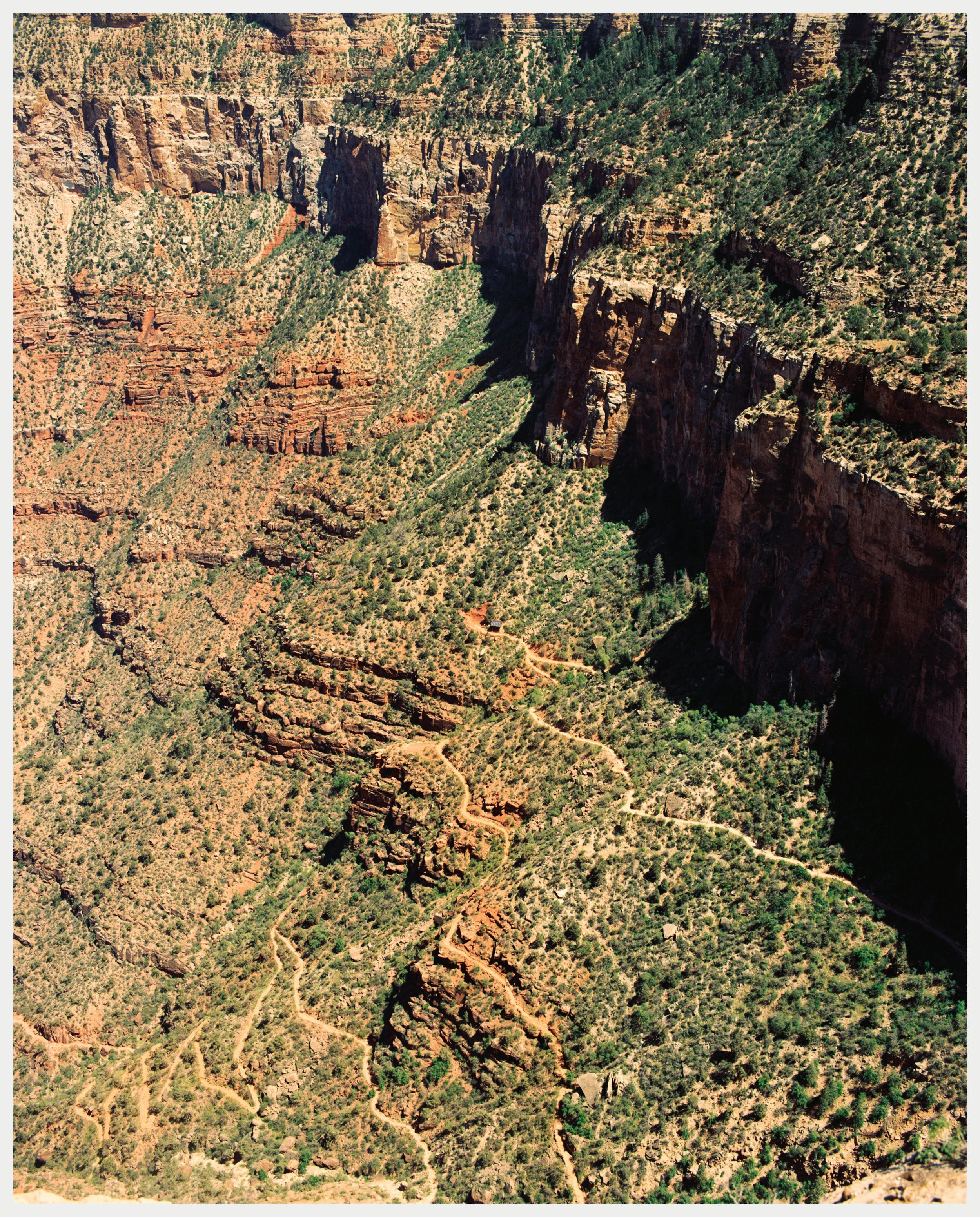 Arizona (2026)