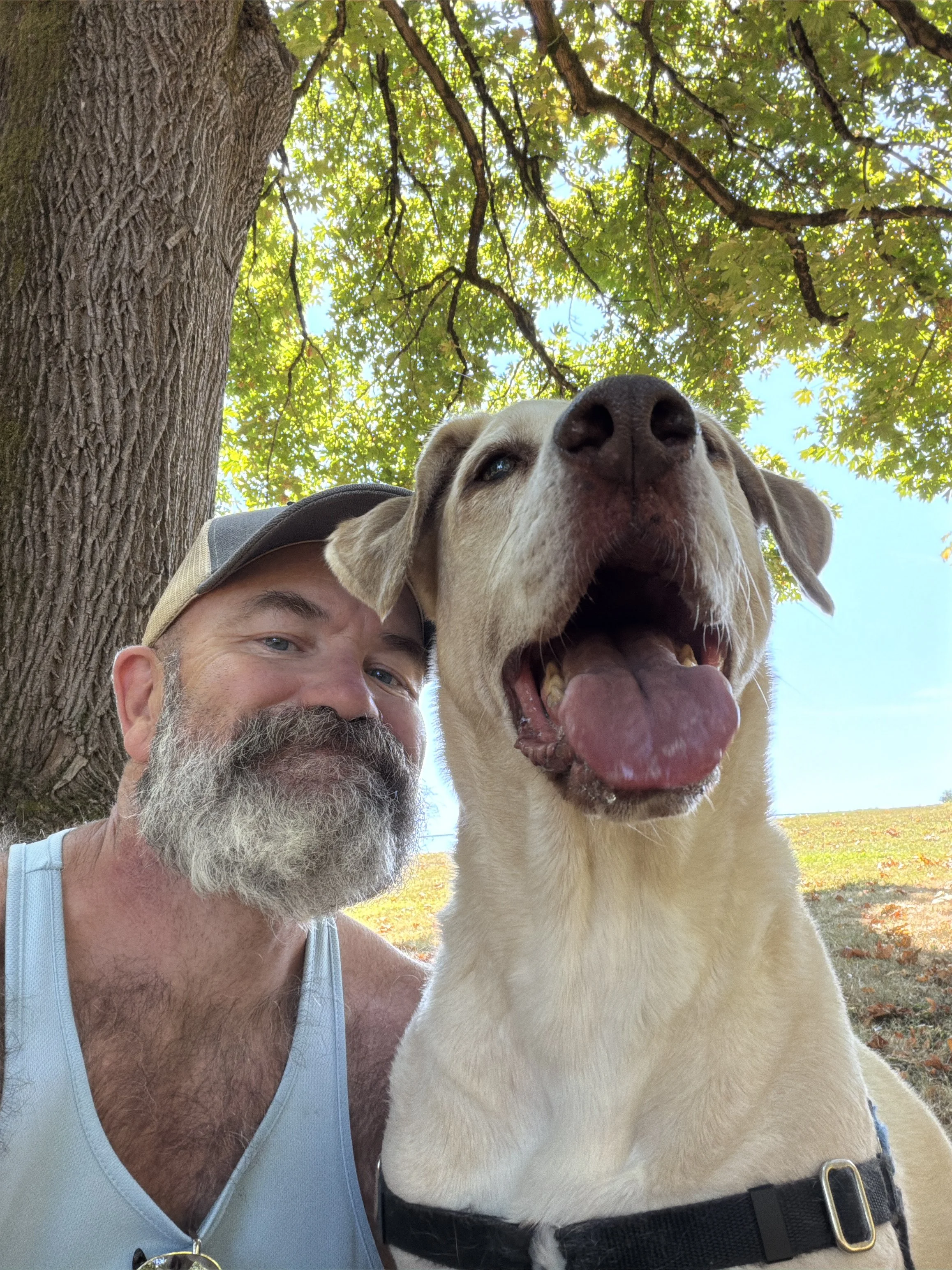 A man and a yellow Labrador Retriever taking a selfie outdoors beneath a large tree with green leaves, sunlight filtering through.