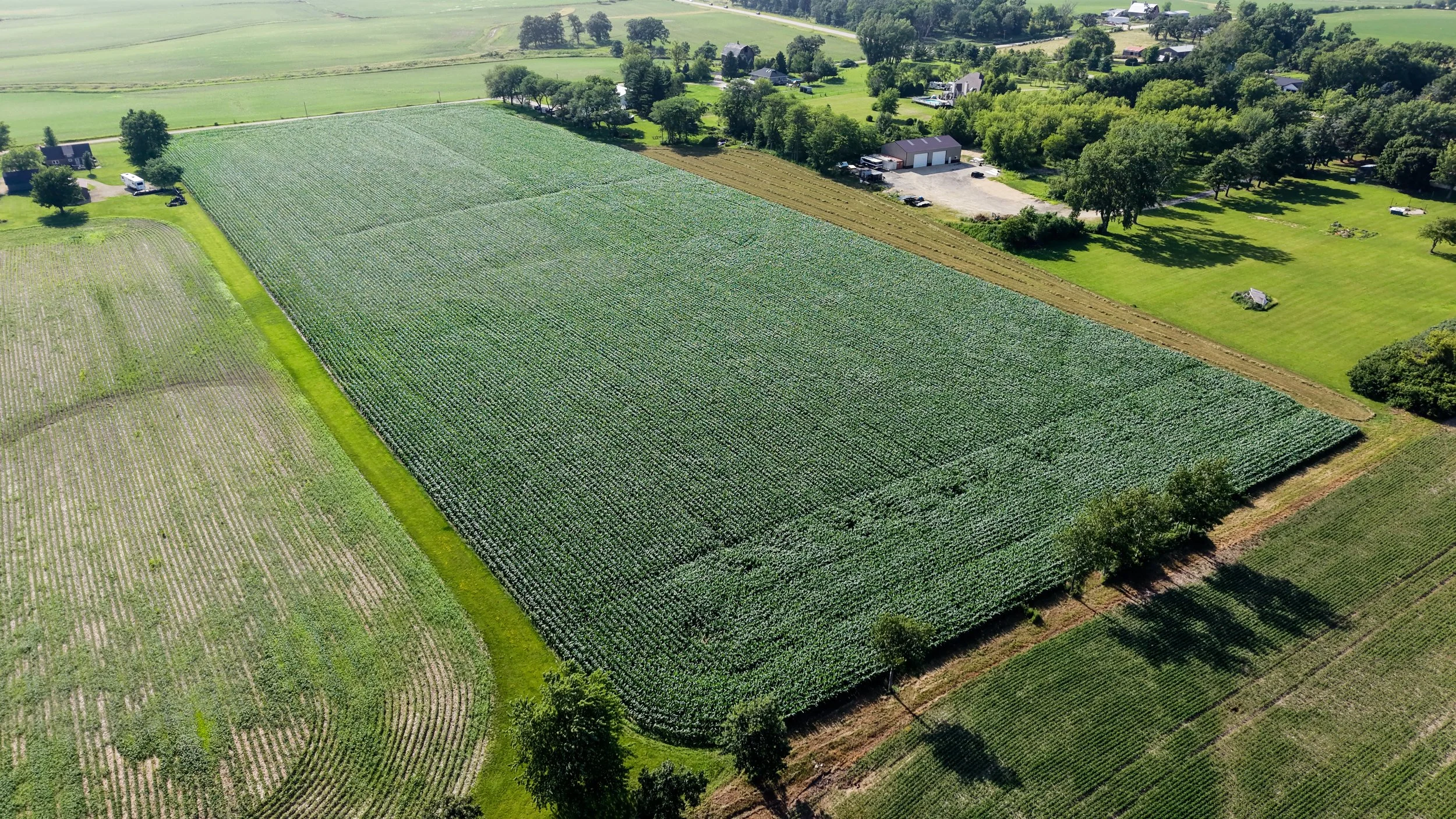 DJI_20260701161148_0007_D-HDR.jpg