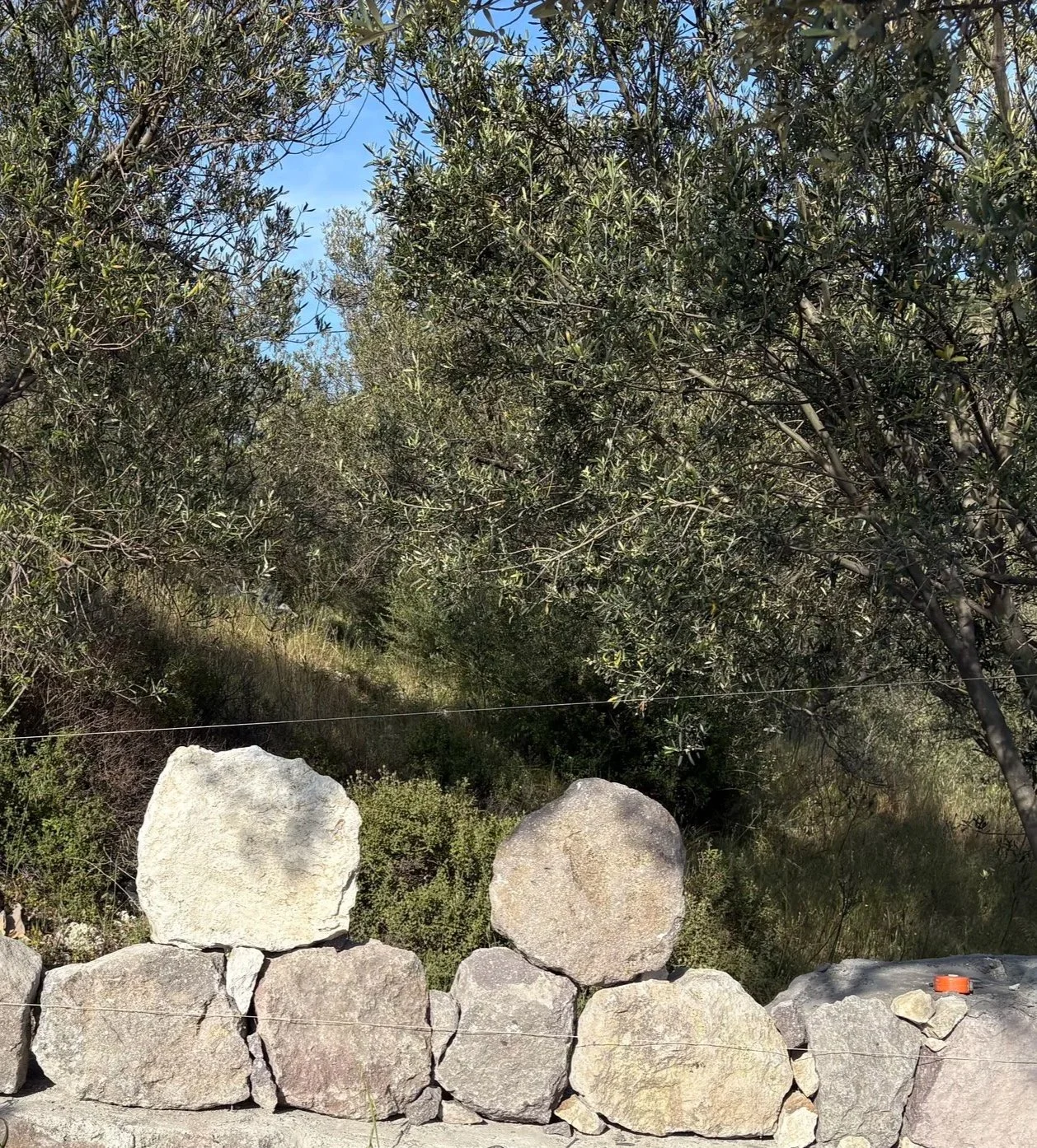 A stone wall in the foreground with large rocks stacked on top of each other. Behind the wall, there are dense bushes and trees with green leaves. The sky is clear and blue.