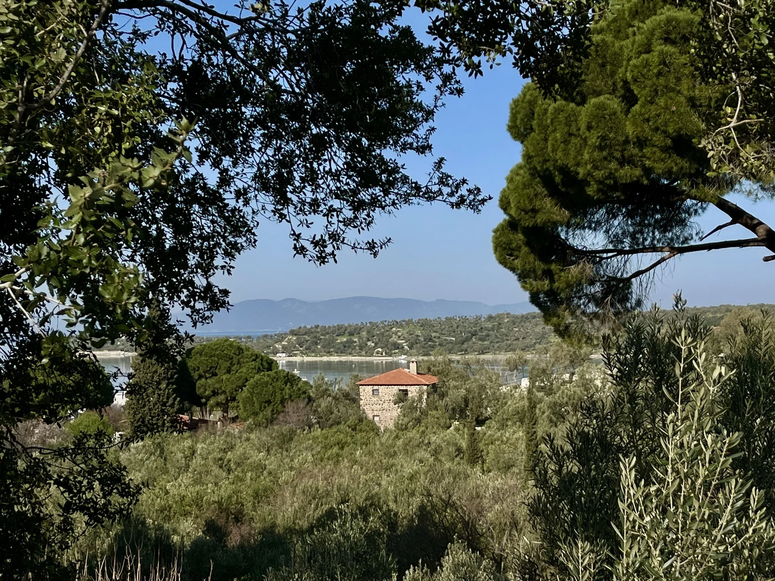 View of a landscape with trees in the foreground, a body of water, and mountains in the distance, under a clear blue sky.