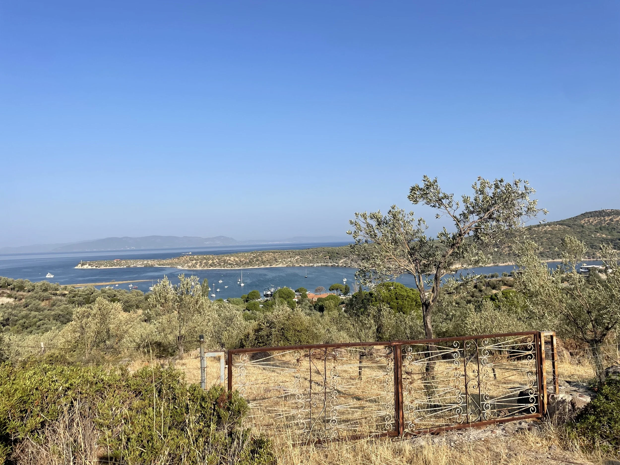 View of a coastal landscape with a blue sky, distant hills, sailboats on the water, and trees in the foreground.