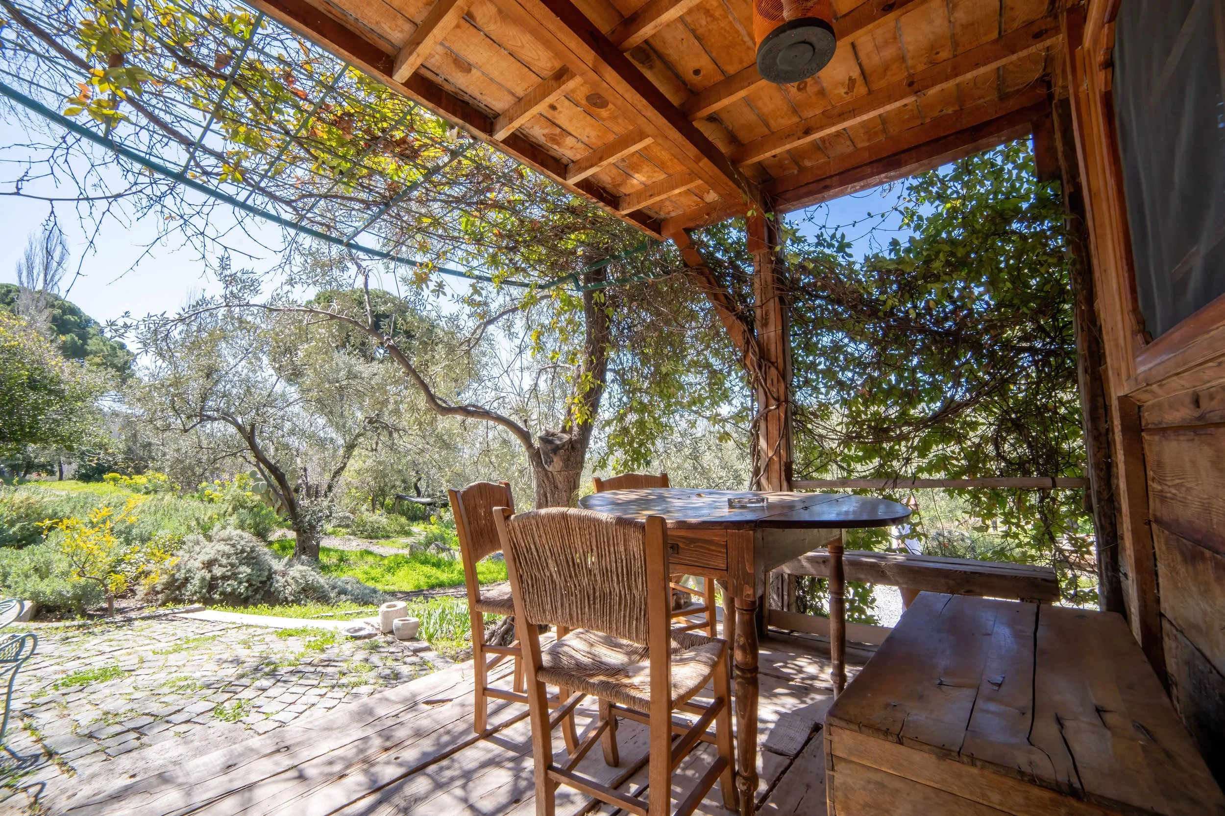 Wooden patio with round table and wicker chairs, surrounded by lush greenery and trees, sunlight filtering through the leaves.