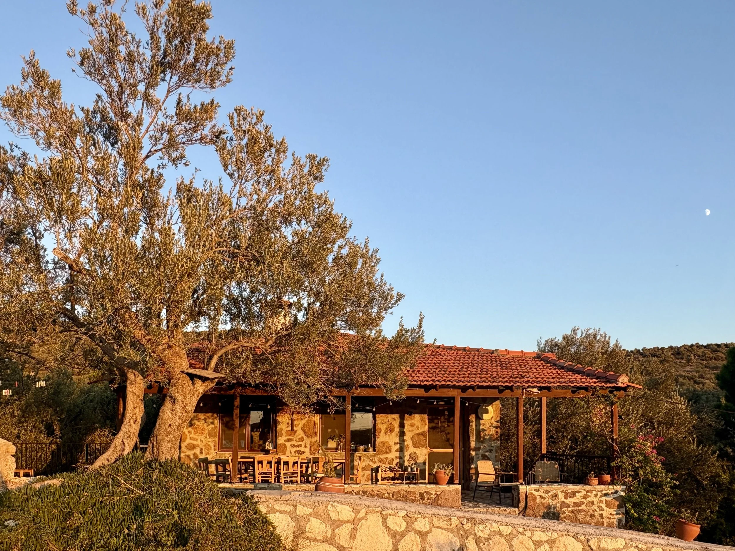 A house with a stone facade and a red tile roof, surrounded by trees and outdoor furniture, under a clear blue sky with a visible moon.