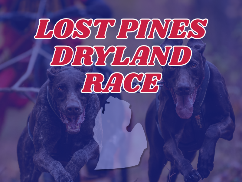 Lost Pines Dryland Race
