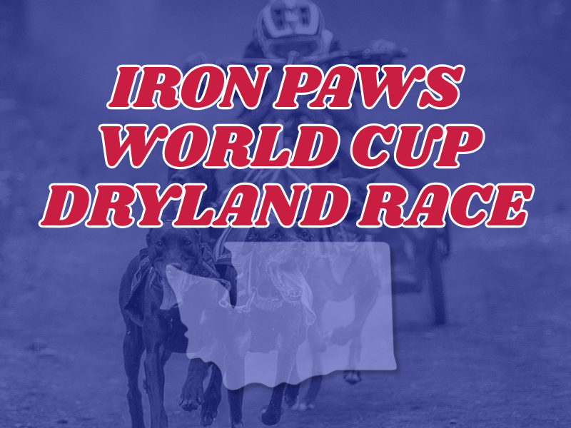 Iron Paws World Cup Dryland Race