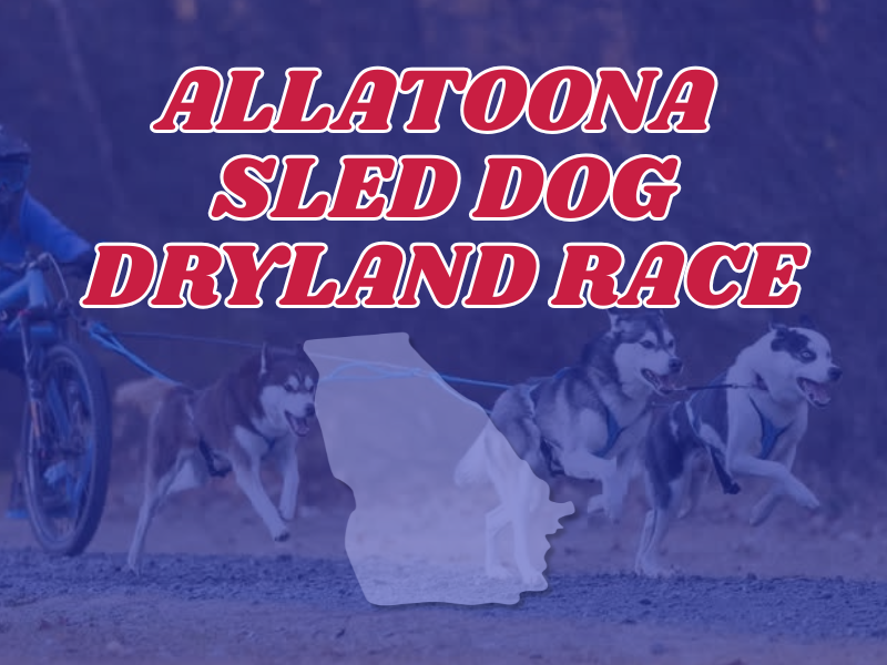 Allatoona Sled Dog Dryland