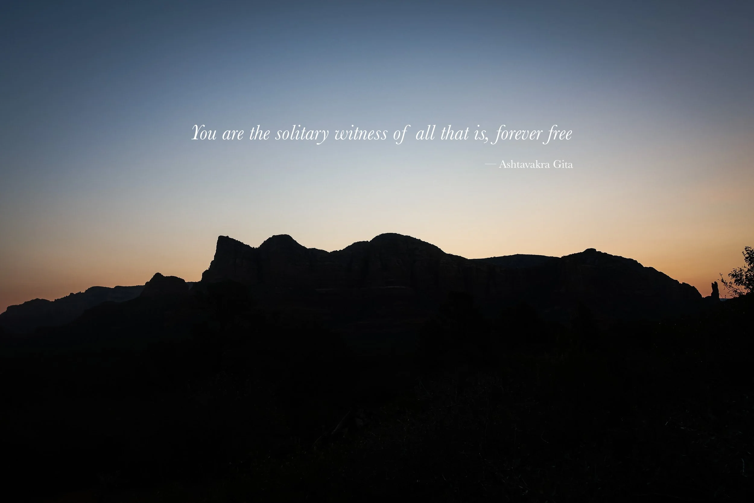 ashtavakra quote .jpeg