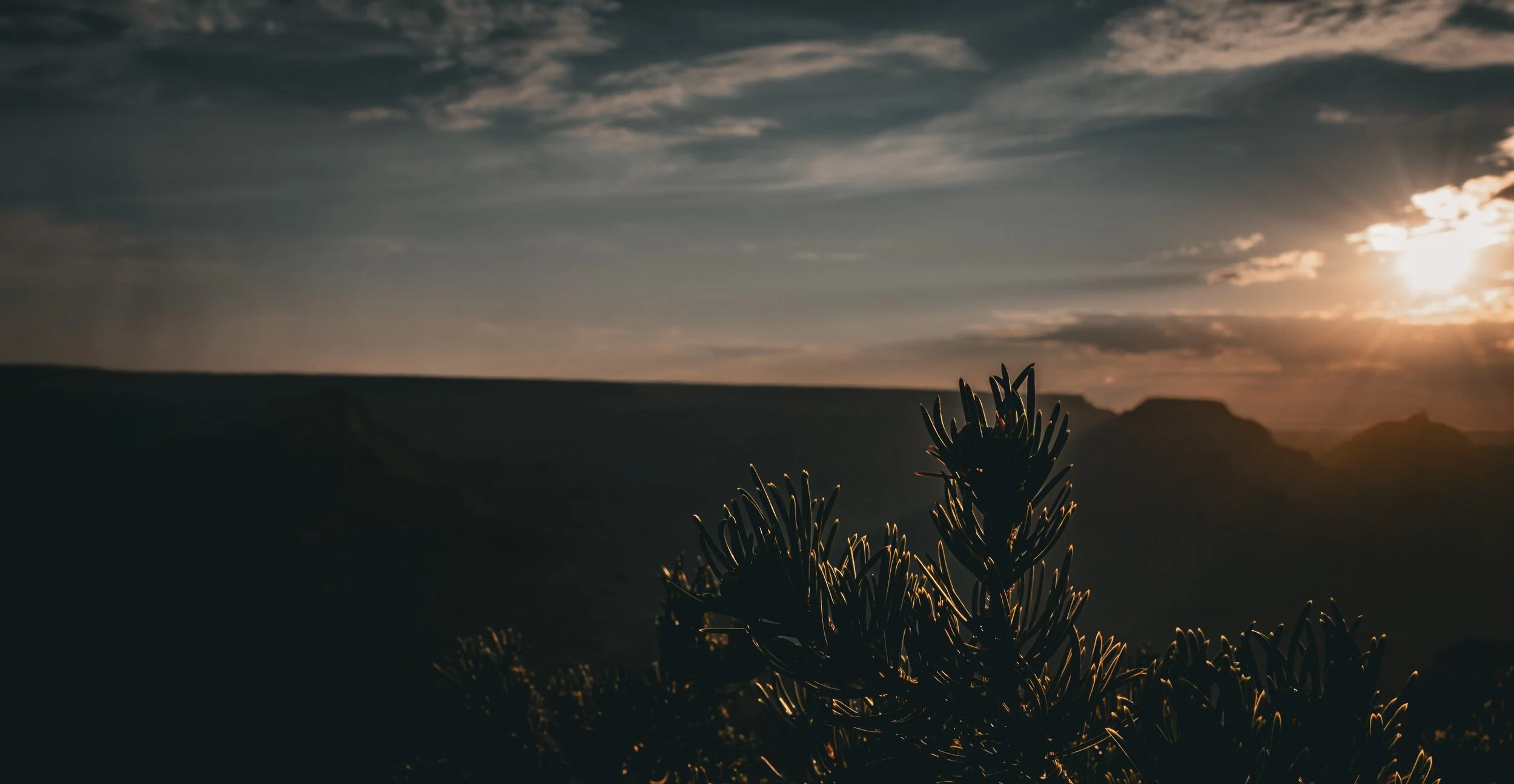 Morning Stillness