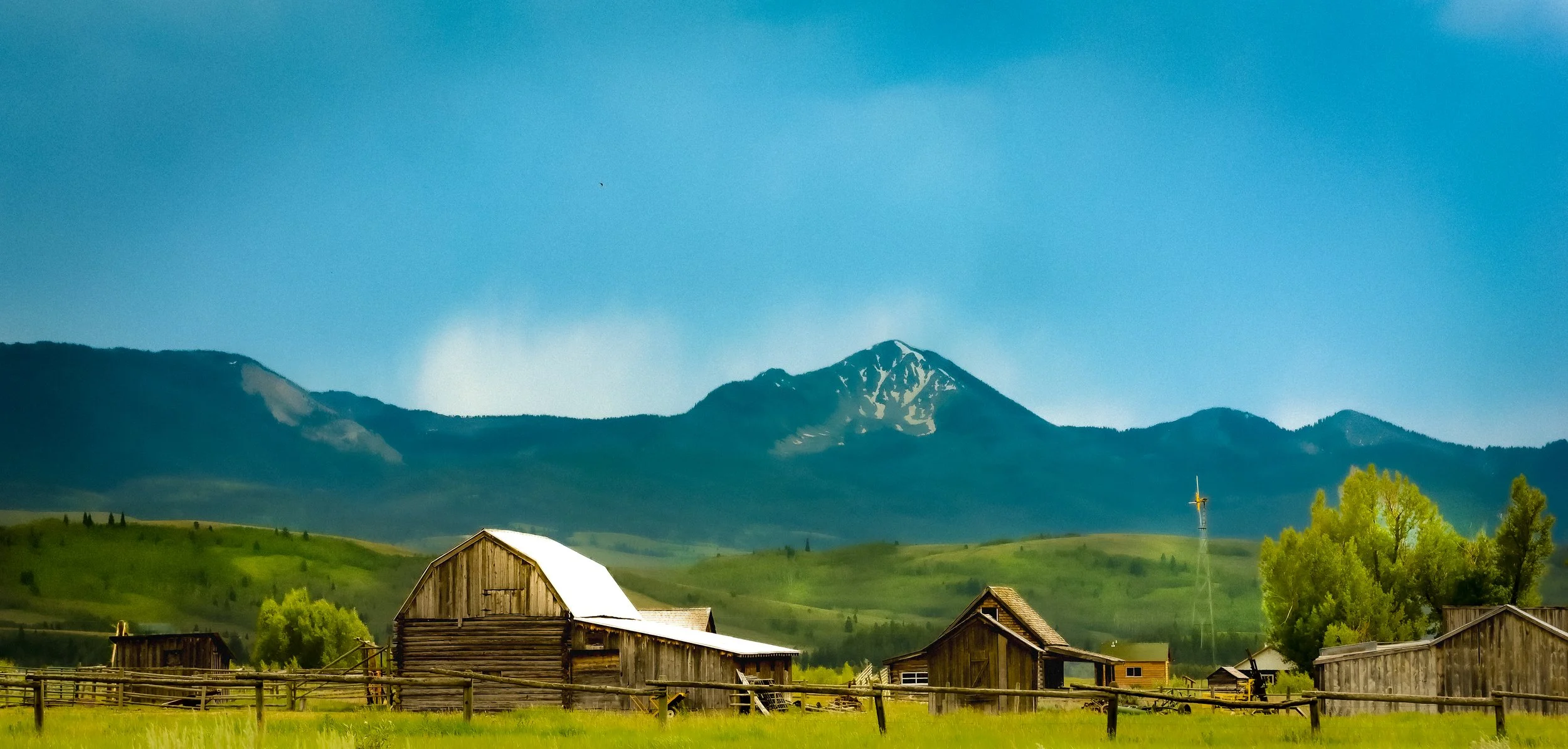 Morning at Mormon Row