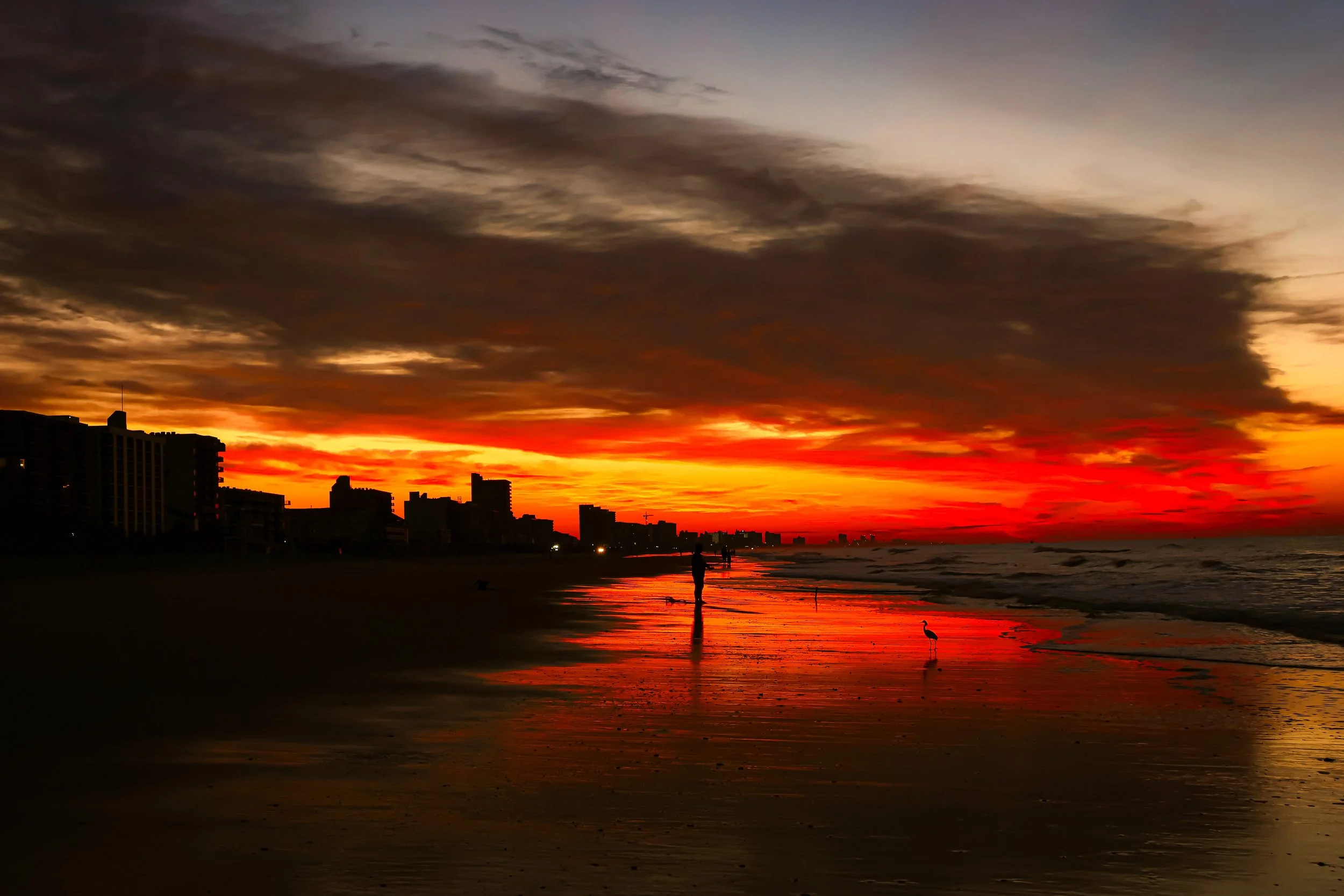Into the Evening