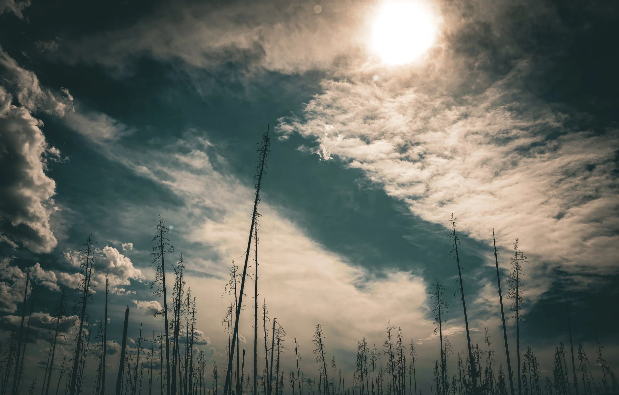 Light Beyond