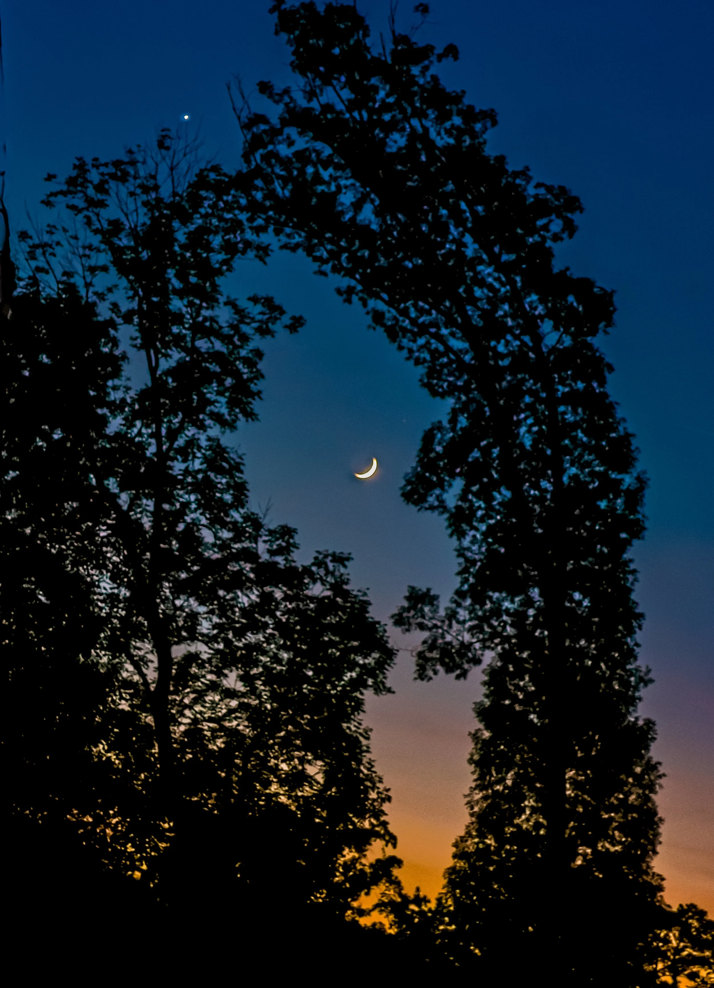 Crescent Moon and the venus shining above silhouetted trees at twilight.