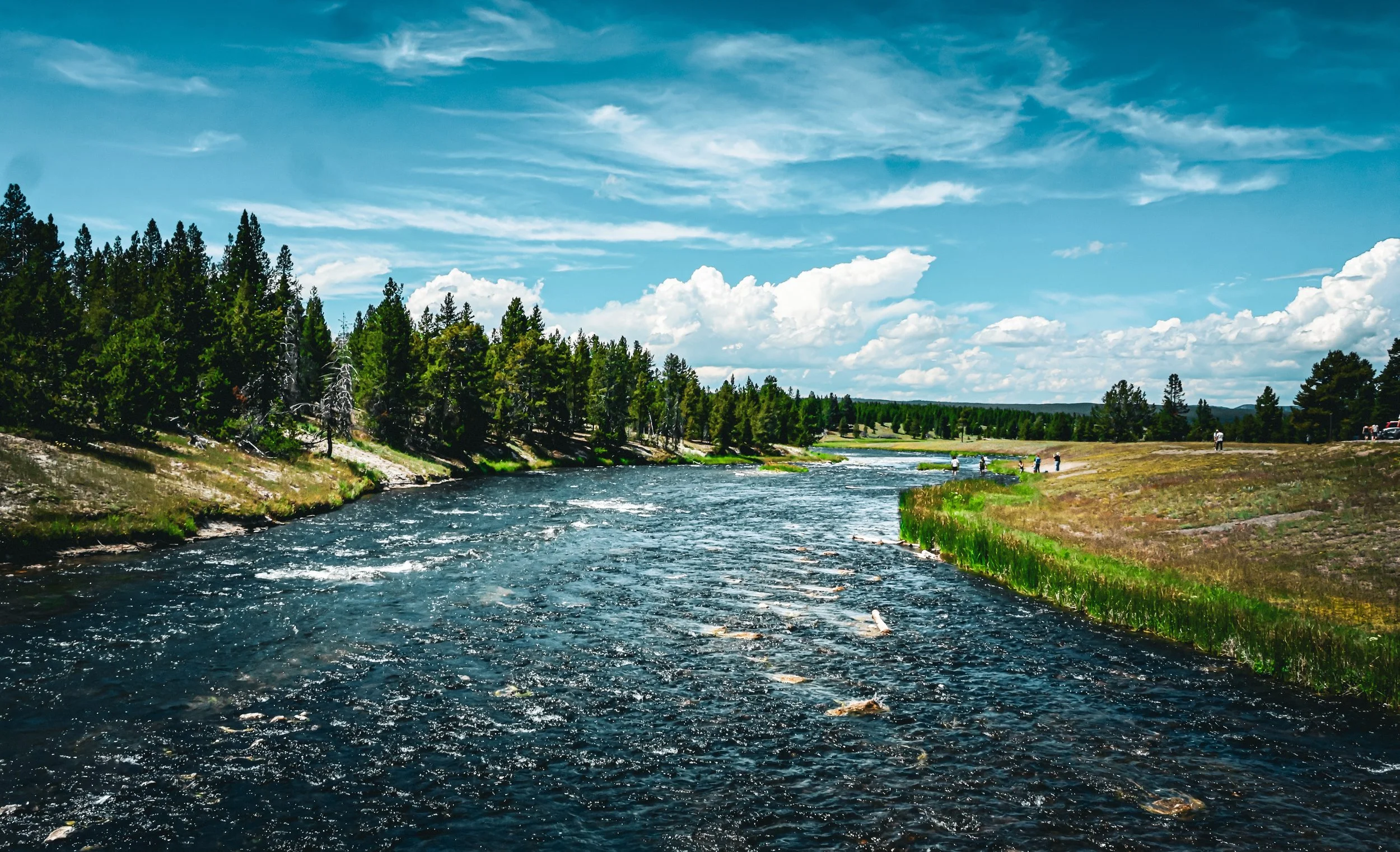 The River's Journey