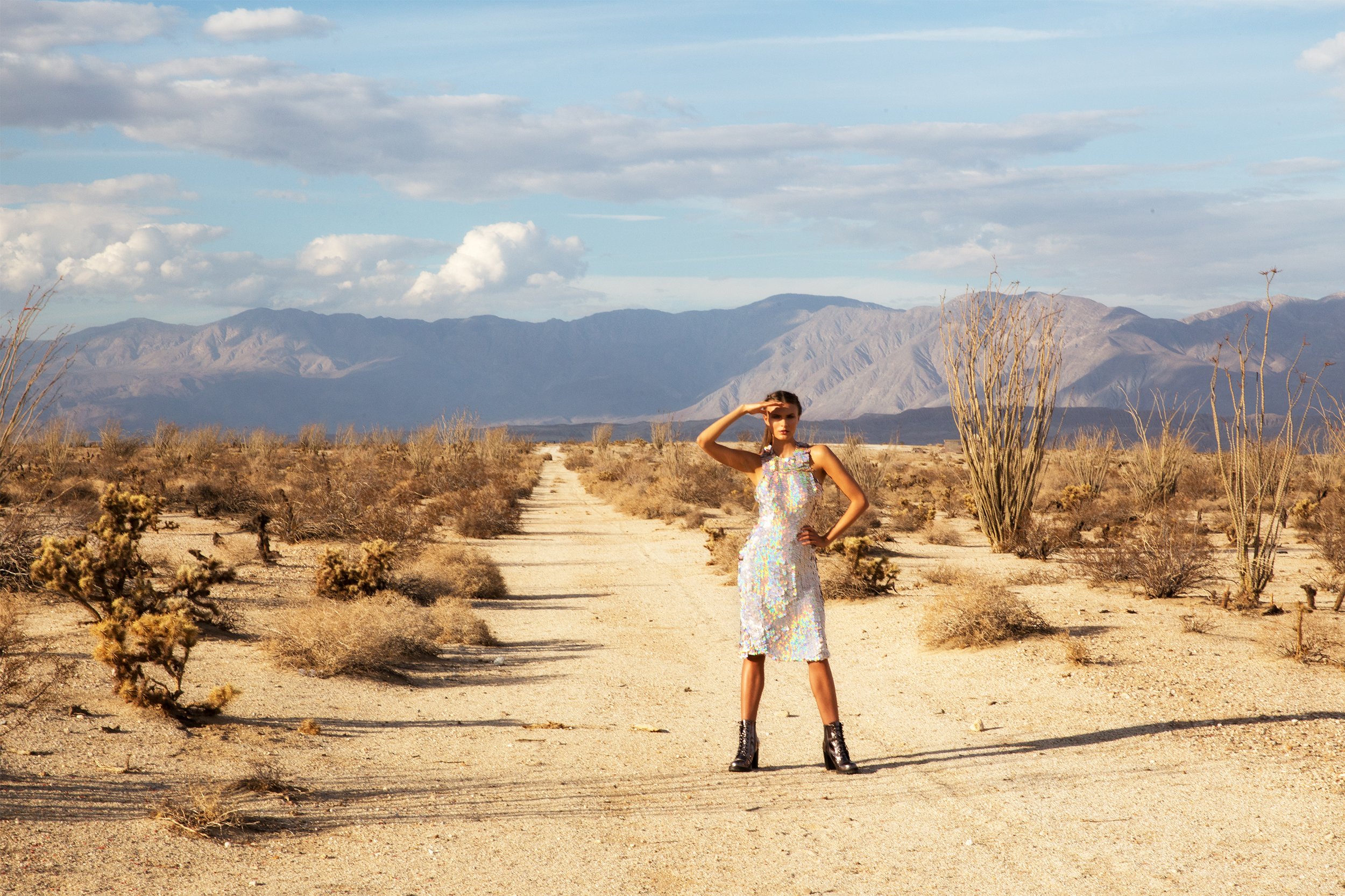 Editorial fashion photography of handmade silk holographic sequin palette embroidered dress in the desert