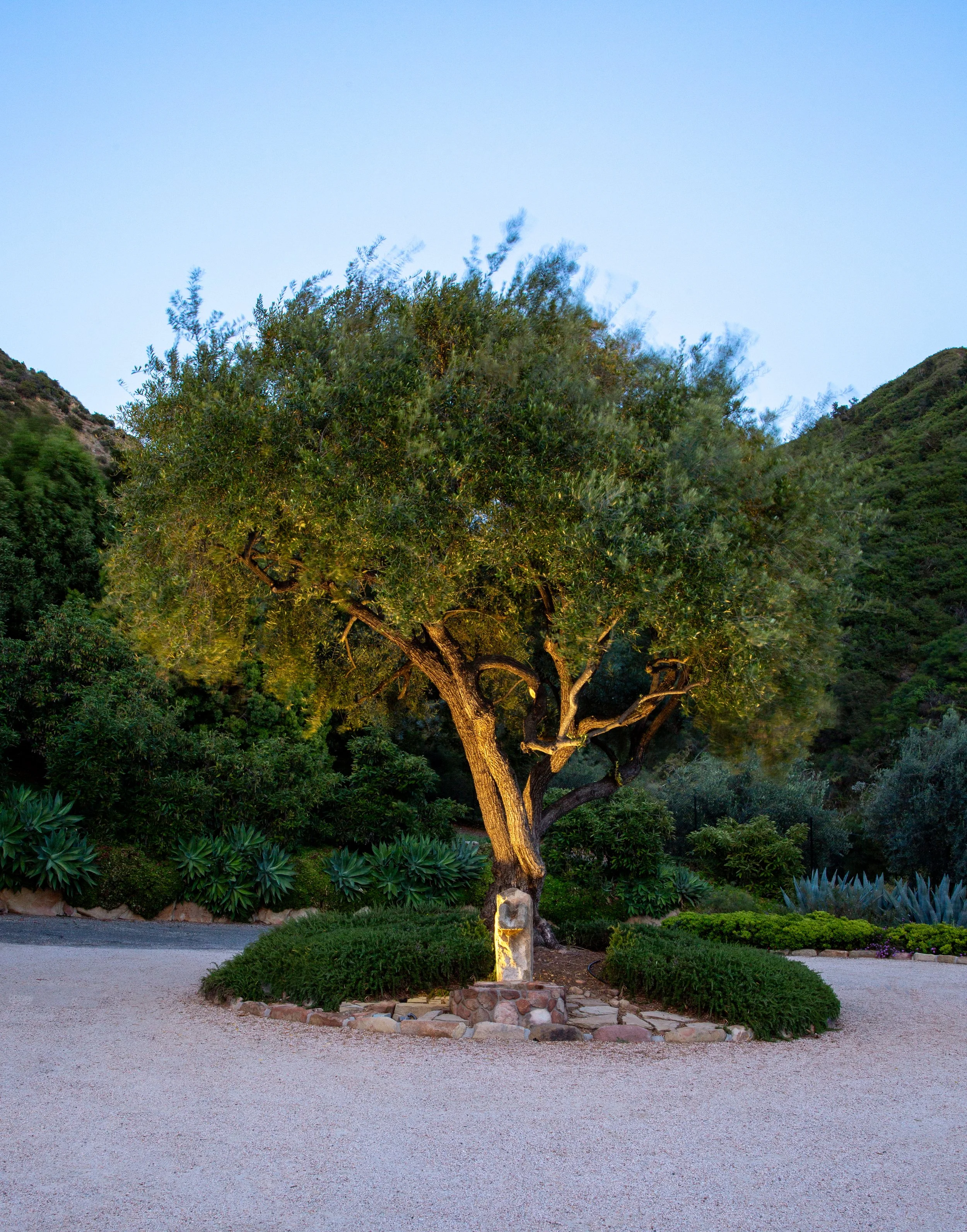 Riskin-1066ToroCanyon-71.jpg