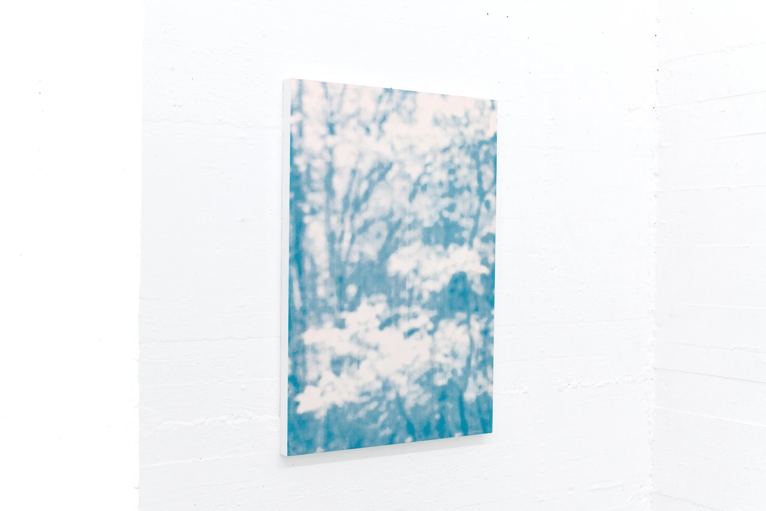 Une œuvre d'art représentant une foret bleue et un fond blanc, rose , affichée sur un mur blanc.