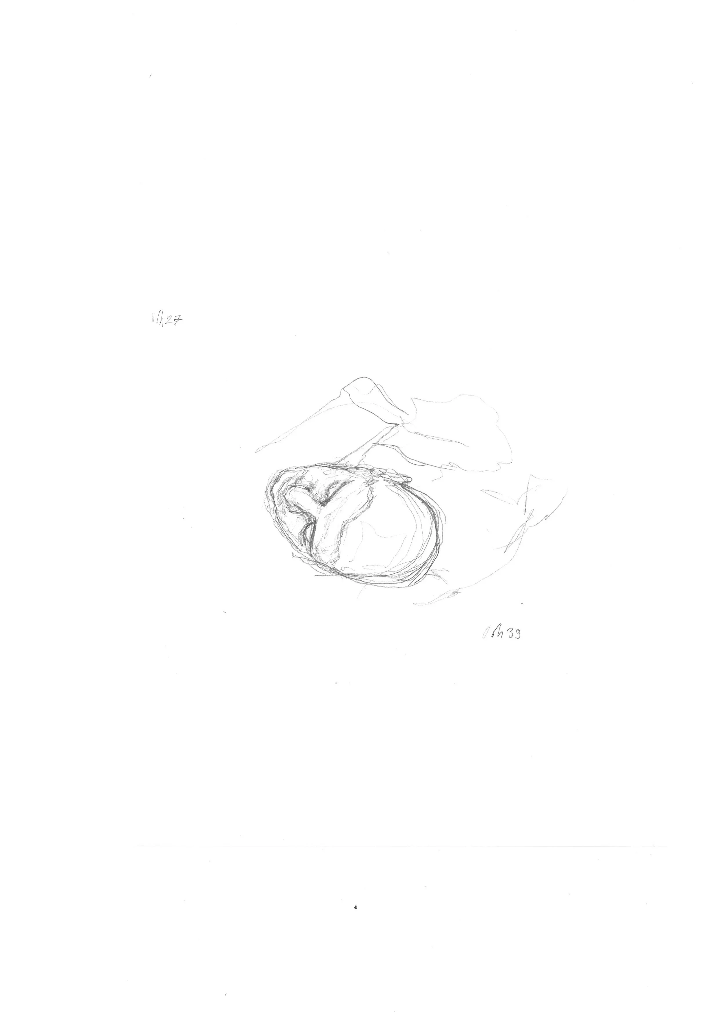 Dessin au crayon d'une tête de chien couché, vue de dos, avec un arbre ou une plante derrière lui. La pièce est simple avec peu de détails.