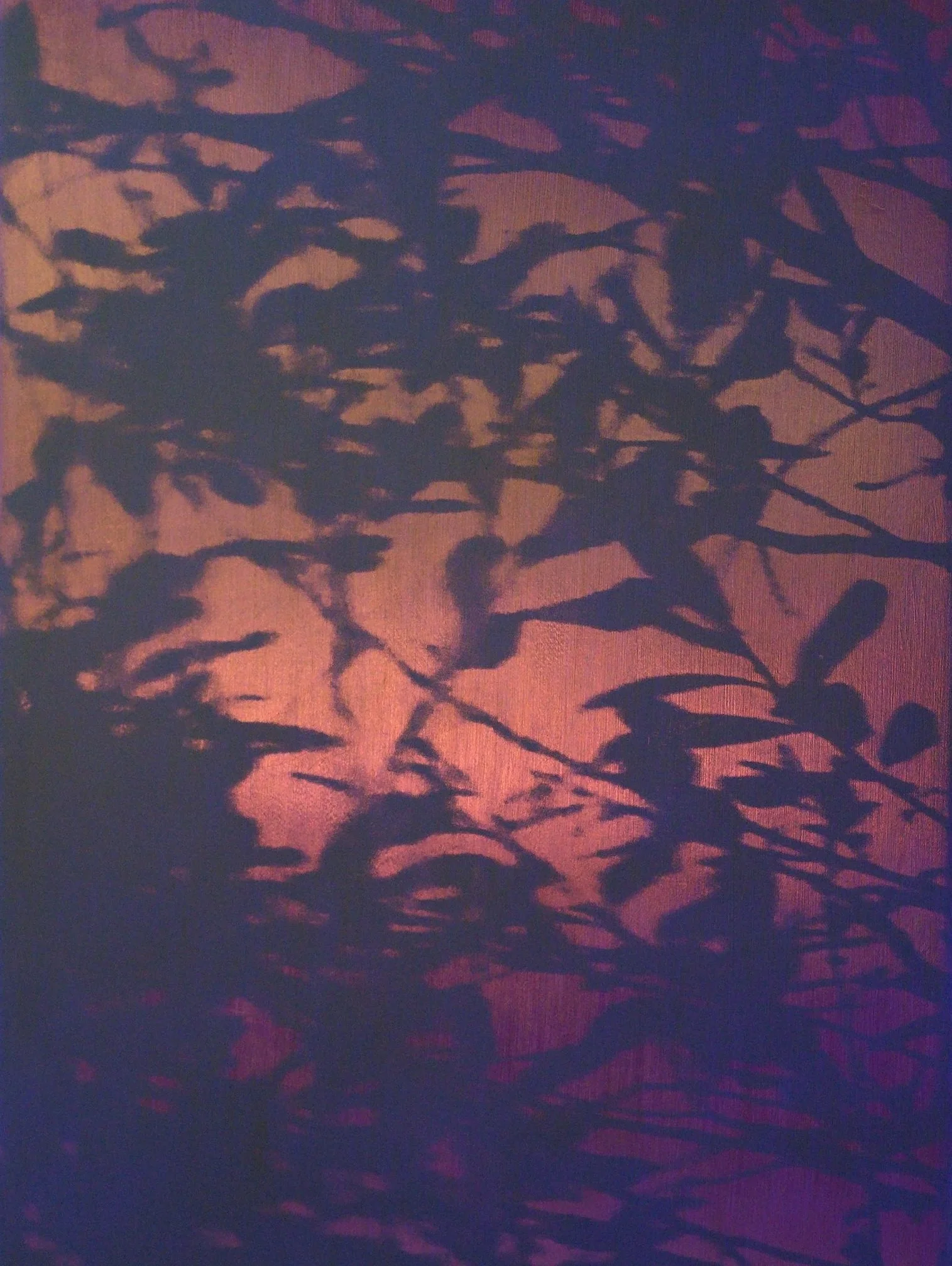 Ombres de branches et de feuilles projetées sur un mur coloré en rose et violet.