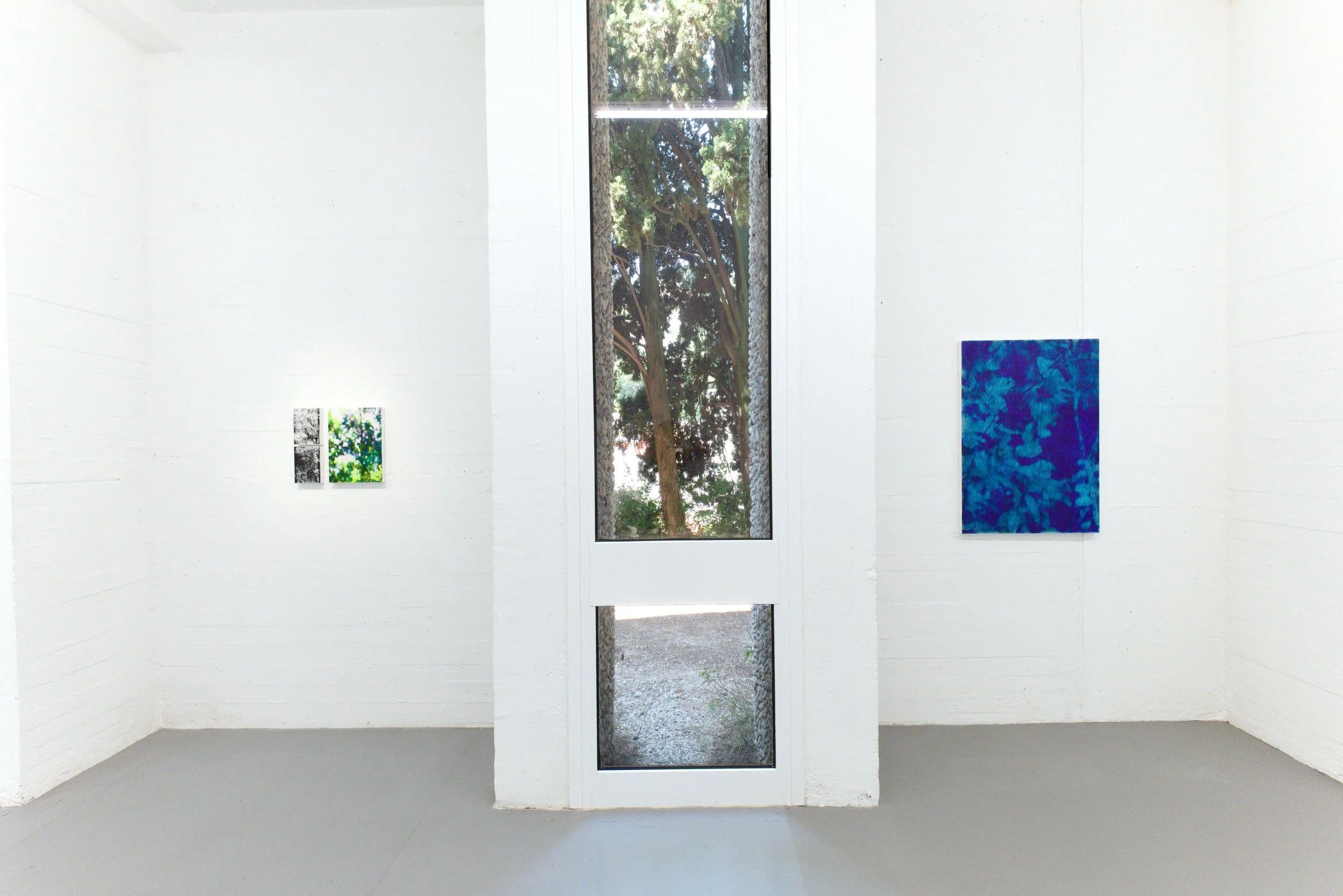 L'image montre une salle d'exposition blanche avec deux œuvres d'art accrochées sur le mur. Au centre, une grande fenêtre verticale laisse entrer la lumière et offre une vue sur des arbres en dehors. Villa Arson.