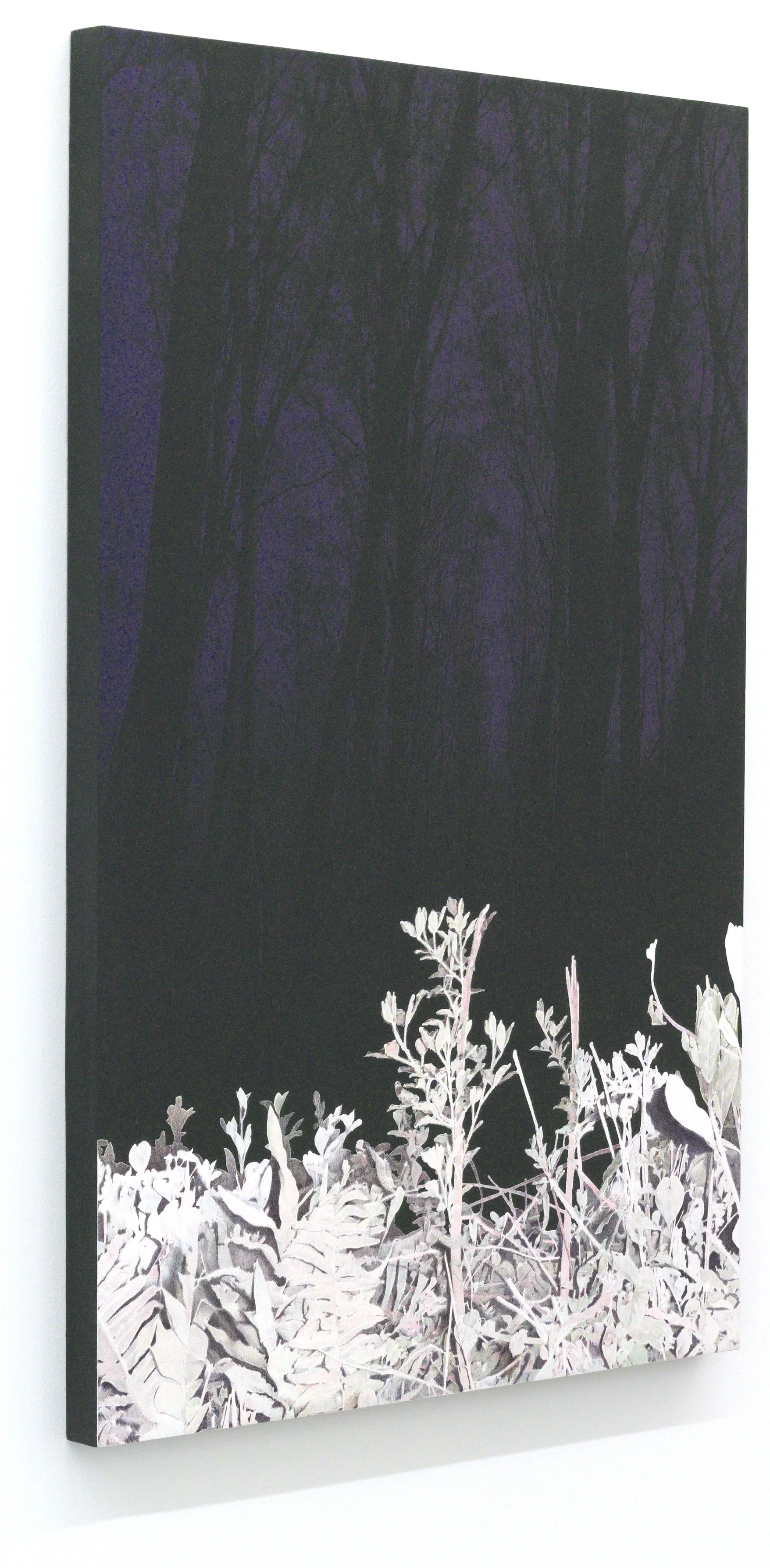 Une œuvre d'art représentant un paysage forestier sombre avec des arbres noirs et des feuilles blanches dans le premier plan. Sérigraphie et dessin au stylo à bille
