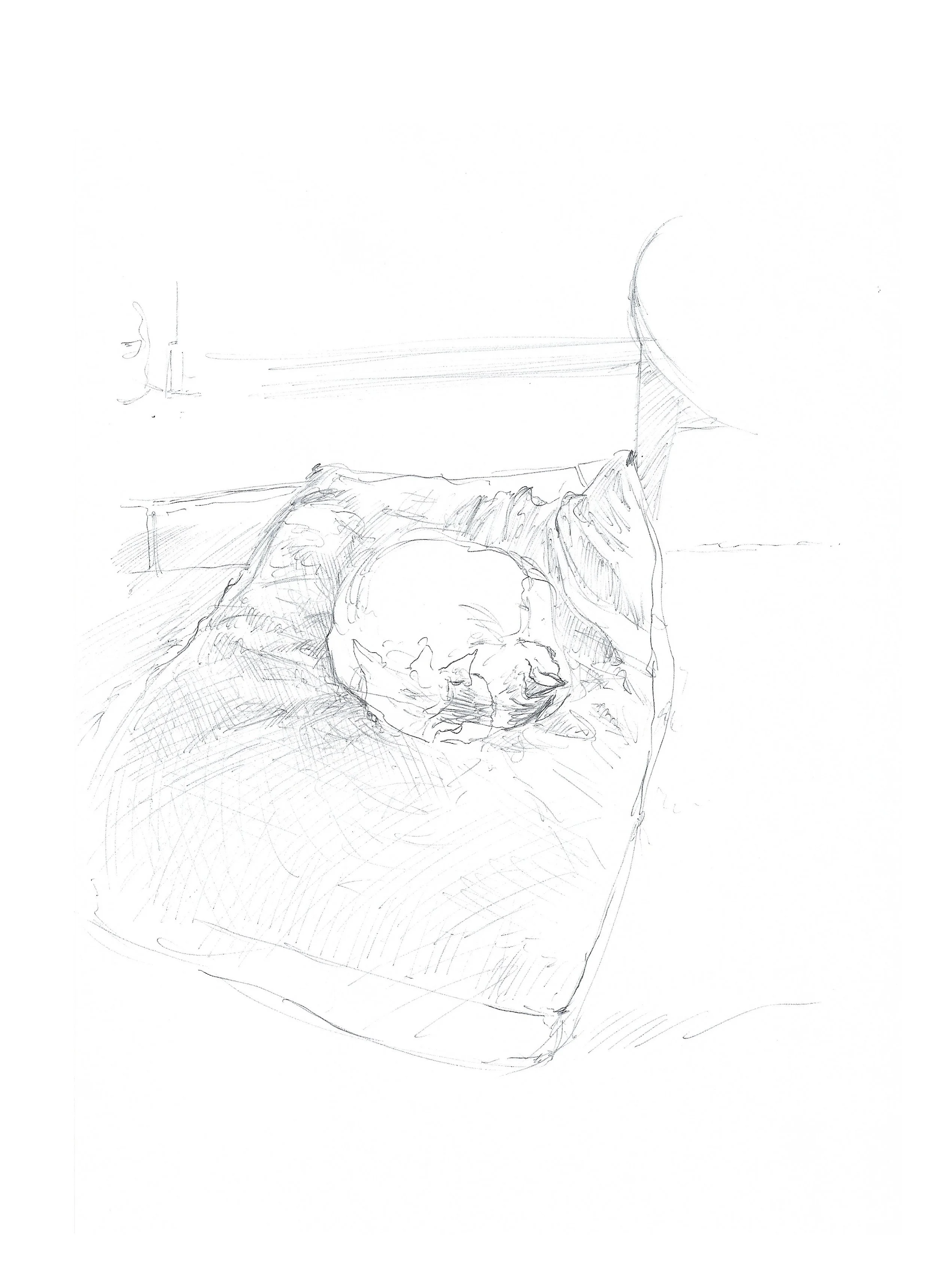 Dessin d'une personne assise sur un canapé, vue arrière, avec une tasse dans les mains, dans un intérieur.