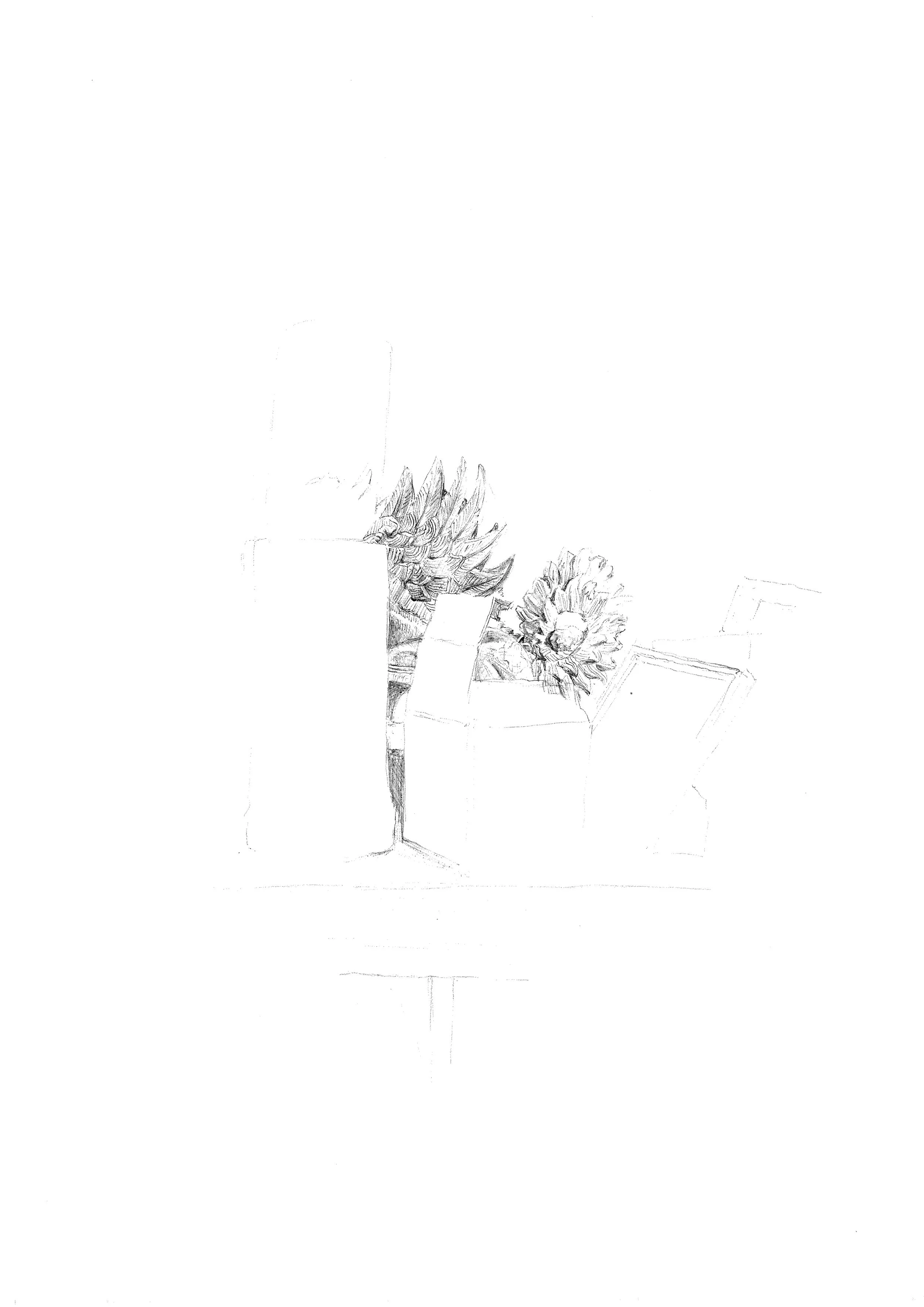 Un dessin à la mine représentant un vase contenant plusieurs fleurs, avec un cadre posé à côté.