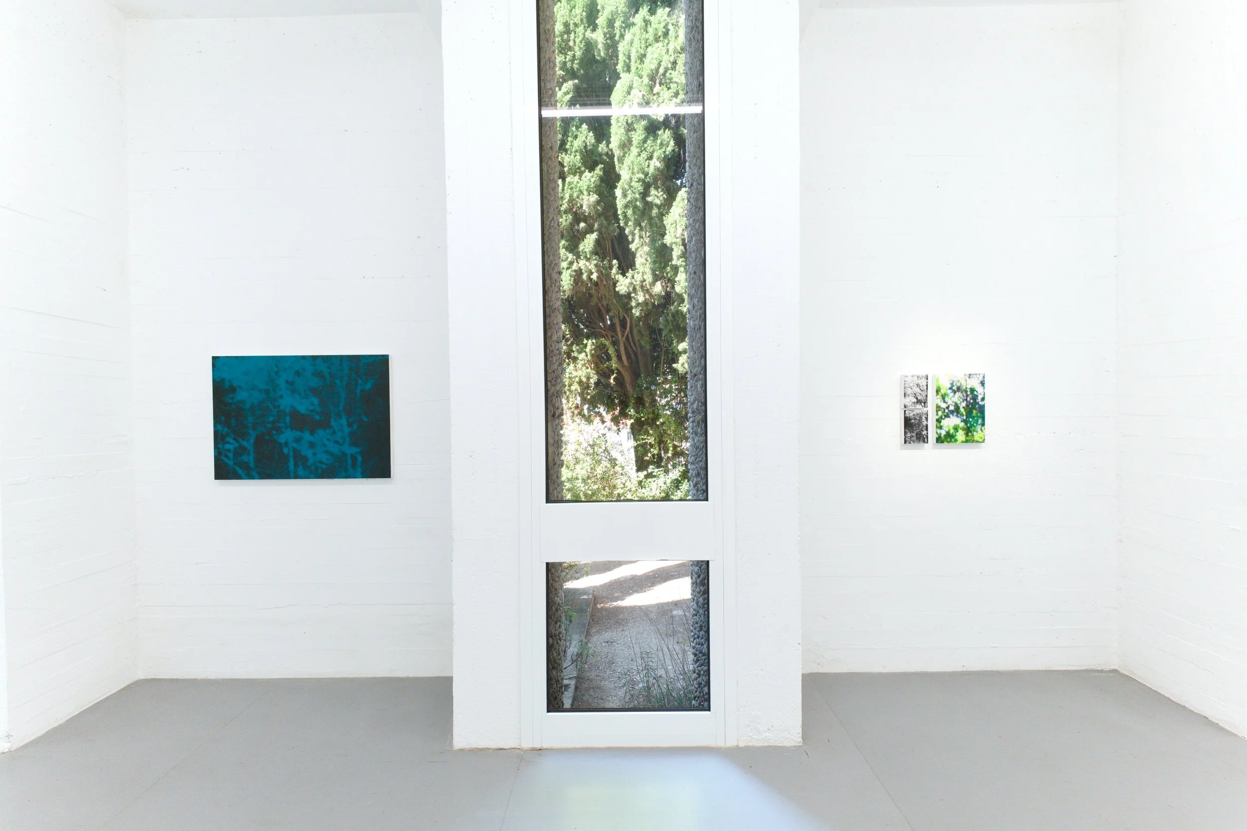 Une pièce d'exposition avec des peintures modernes accrochées sur un mur blanc, vue par une grande fenêtre laissant entrer la lumière naturelle et offrant une vue sur des arbres verts à l'extérieur. Villa Arson.