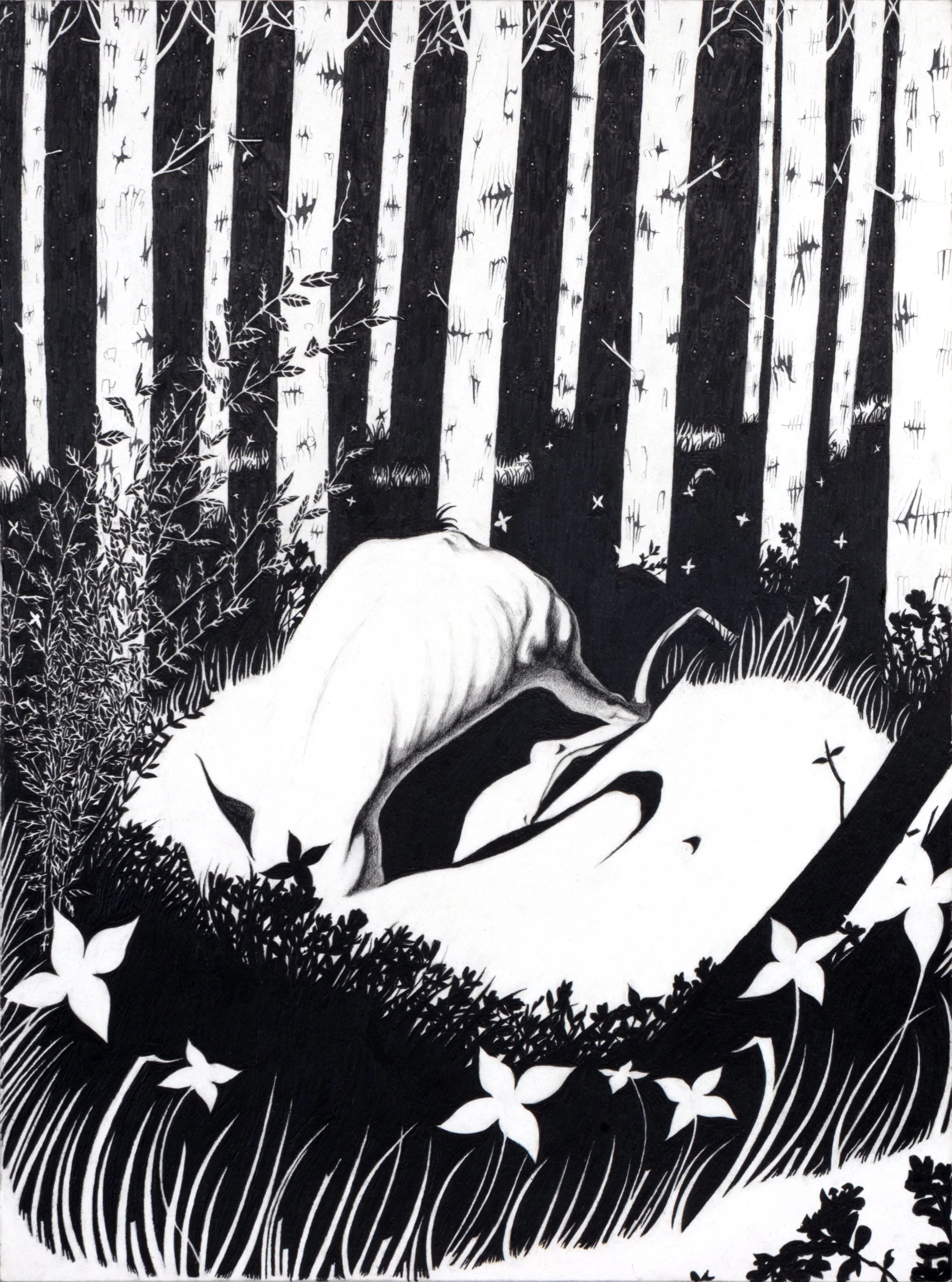 Dessin figuratif sur papier en noir et blanc d'une forêt avec des arbres, des herbes, et des fleurs, vue de dos d'une personne assise ou allongée, avec des détails de végétation autour.