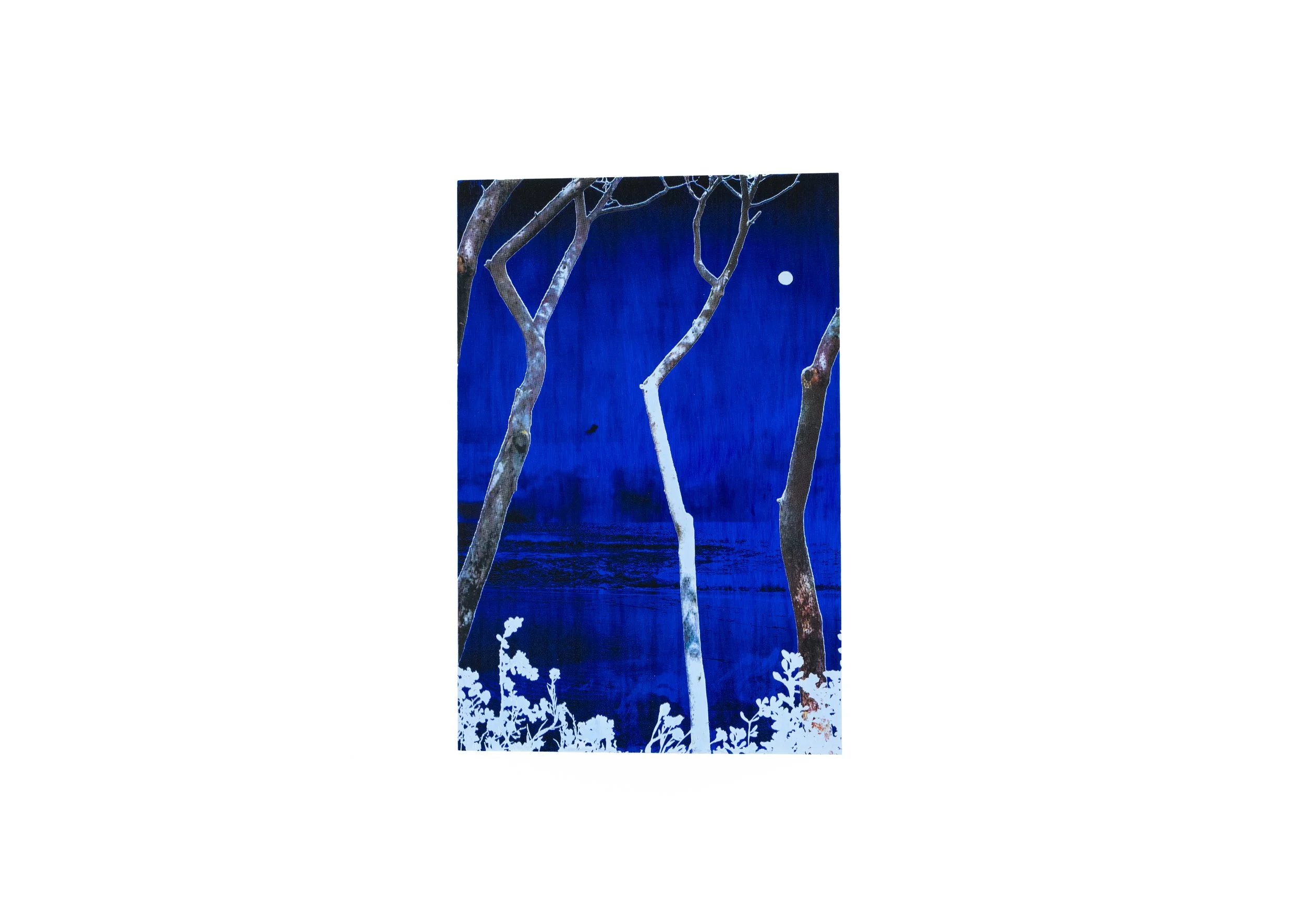 Des arbres nus devant un ciel nocturne avec une lune visible, style artistique en bleu et blanc. stylo à bille. sérigraphie.