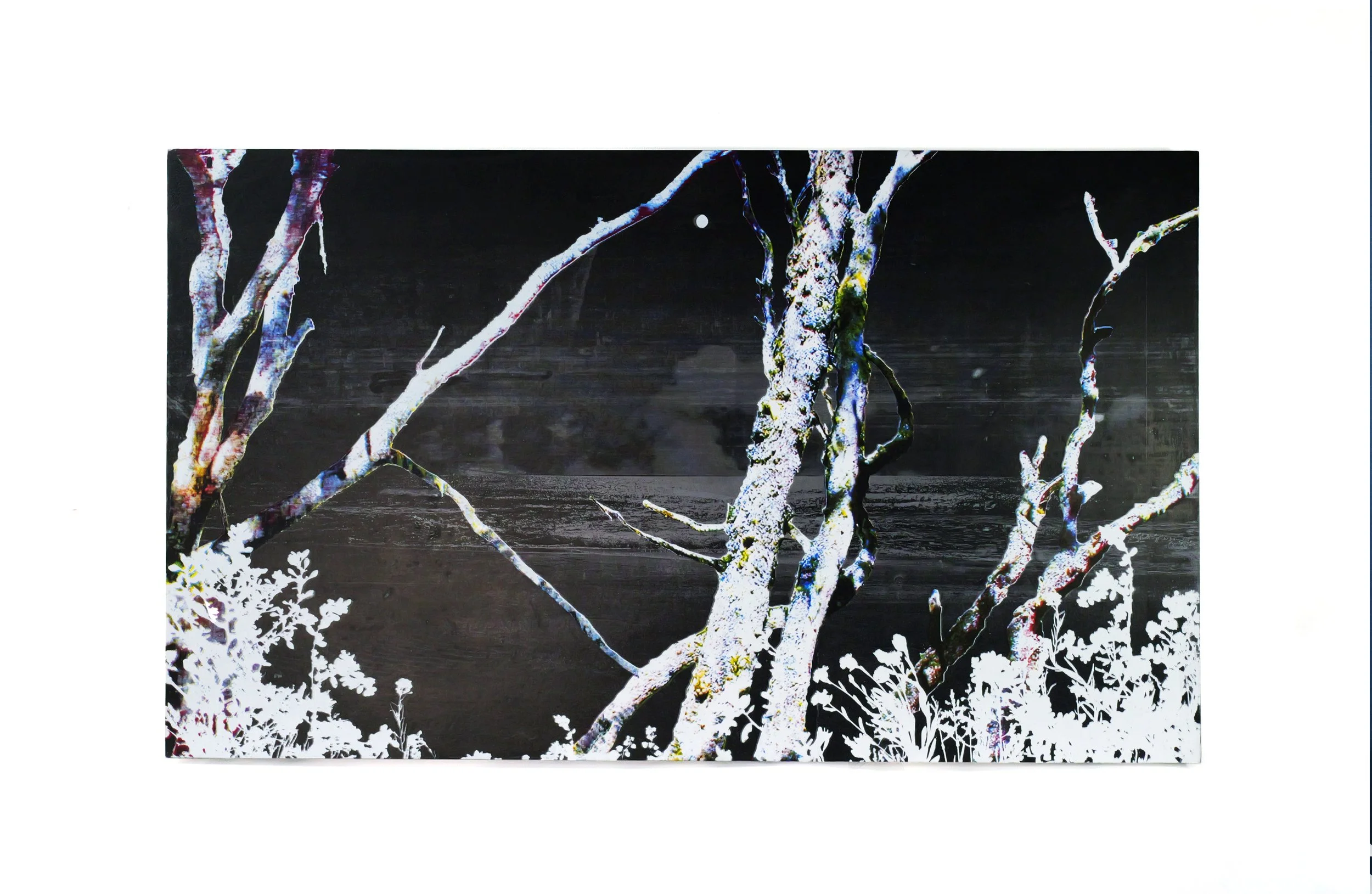 Une peinture artistique représentant des branches d'un arbre en couleurs vives sur un fond noir, avec des feuillages blancs en bas de l'image. Sérigraphie. Graphite en poudre. Fond plage.