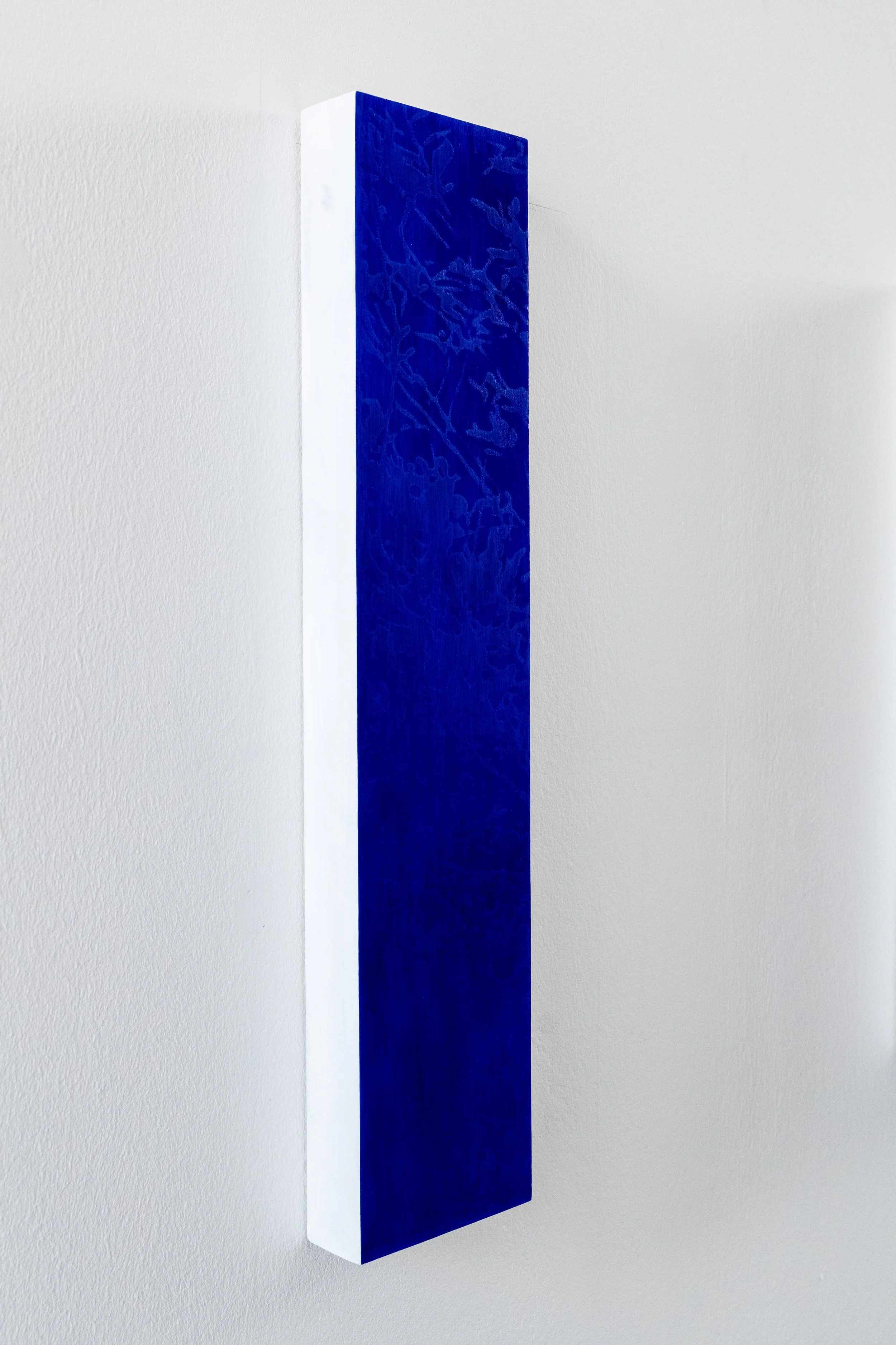 Un tableau rectangulaire avec une face bleue et une tranche blanche, décorée de motifs de plantes, suspendue contre un mur blanc. Dessin au stylo bic et sérigraphie sur bois.