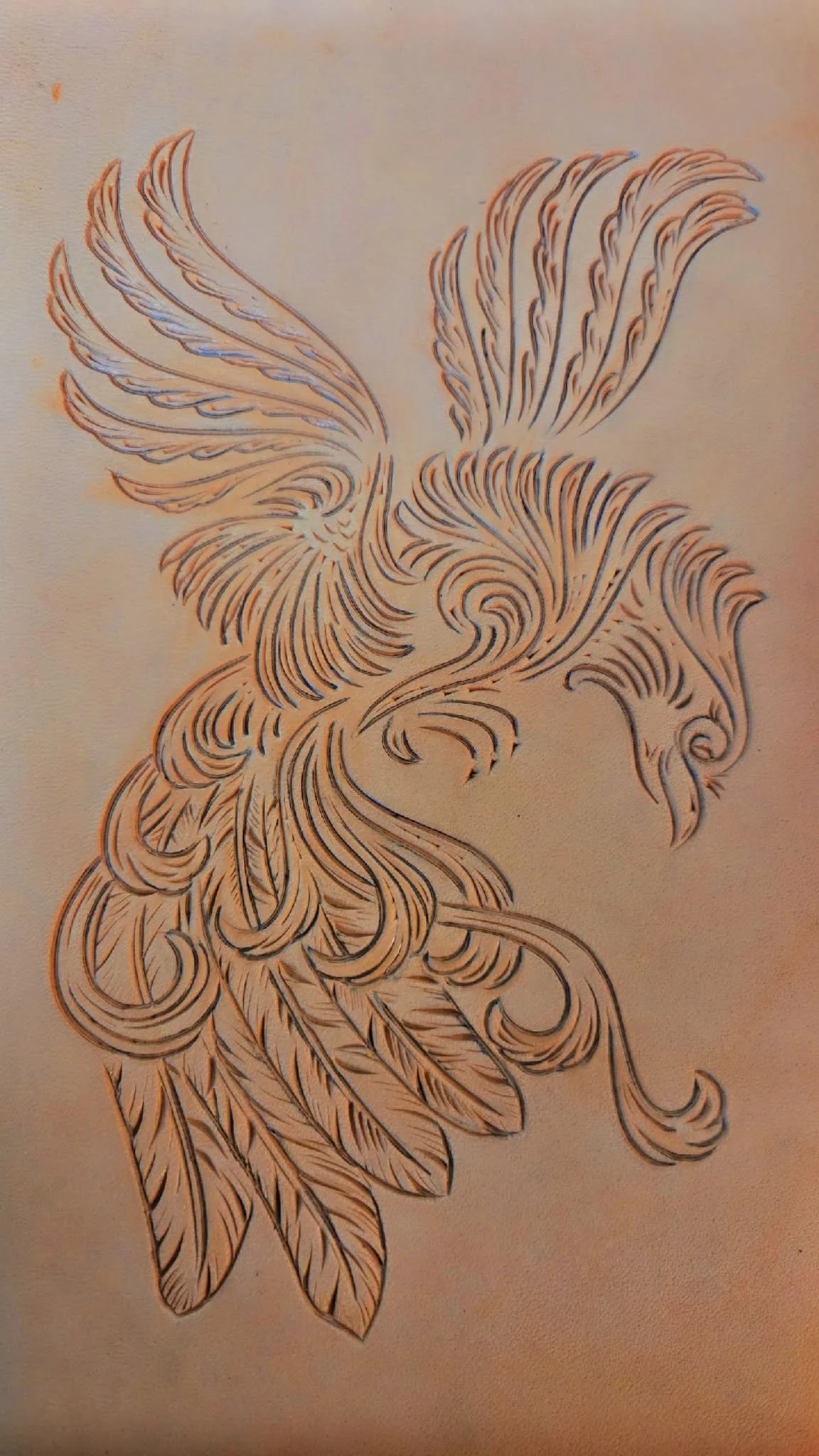 Line drawing of a phoenix with large wings, detailed feathers, and a flowing tail.