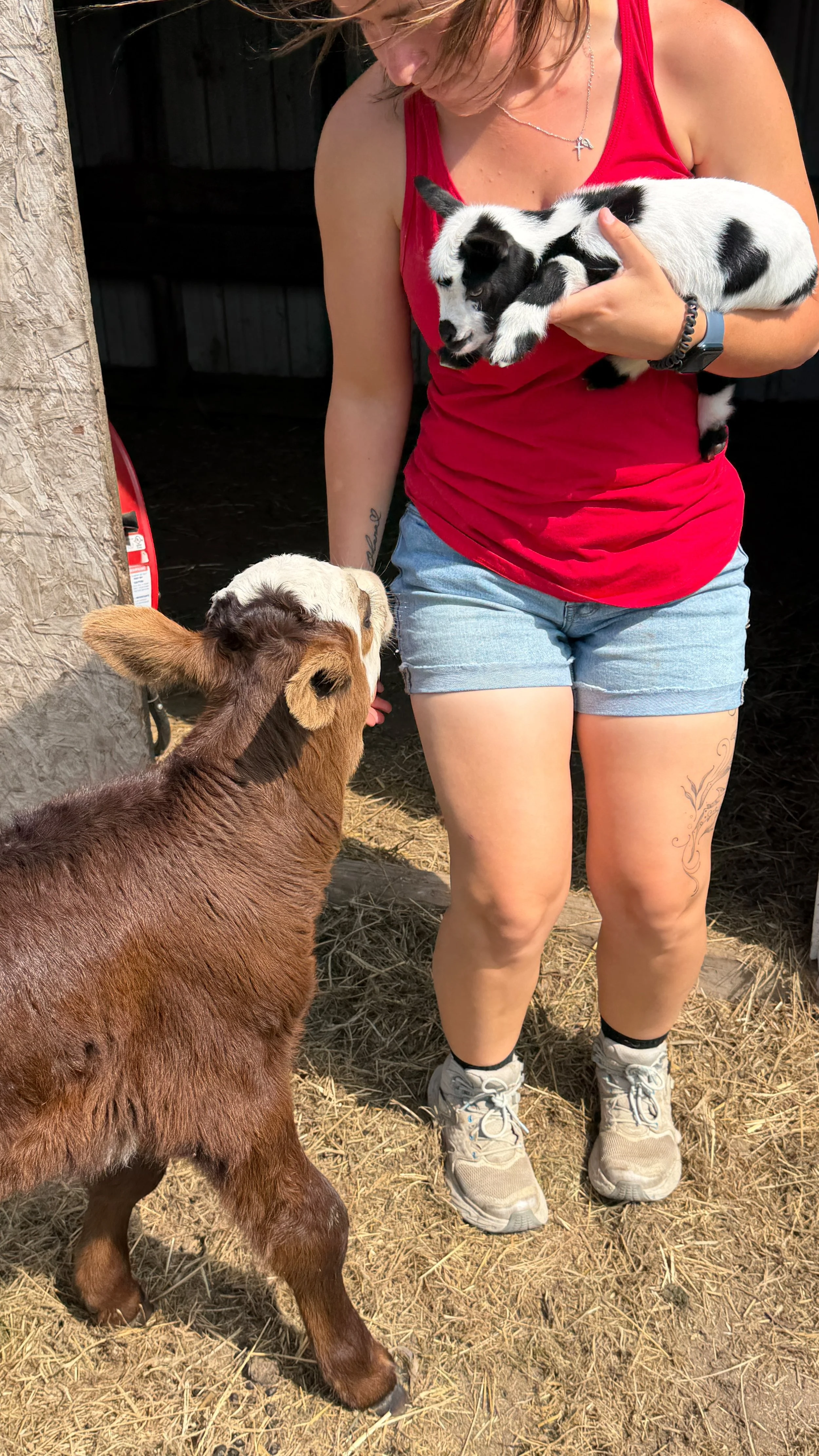 Mobile Animal Interactions