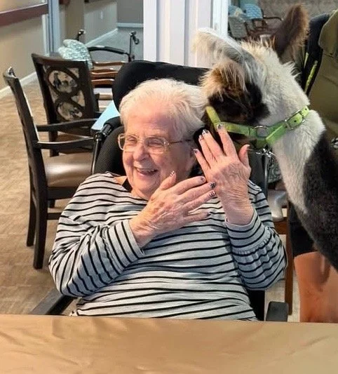 Pet Visits