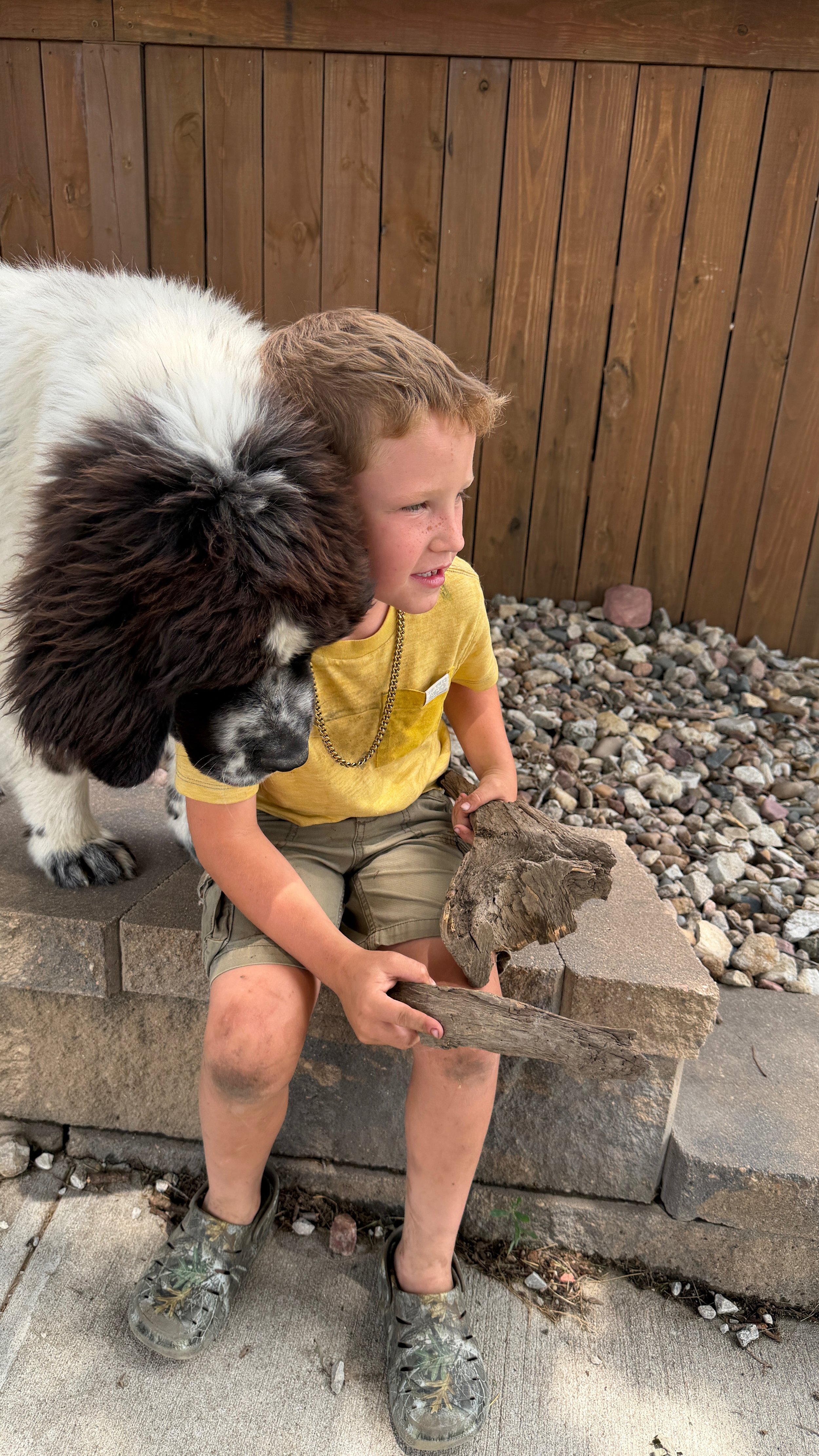 Animal-Assisted Therapy