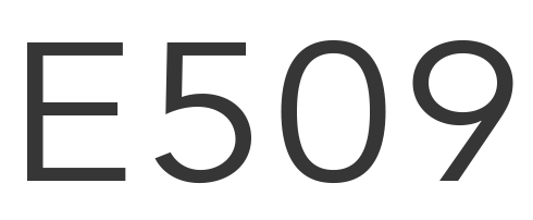 E509