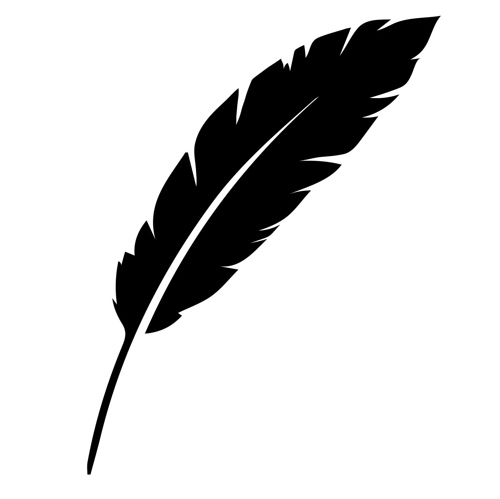 feather-01.jpg (Copy)