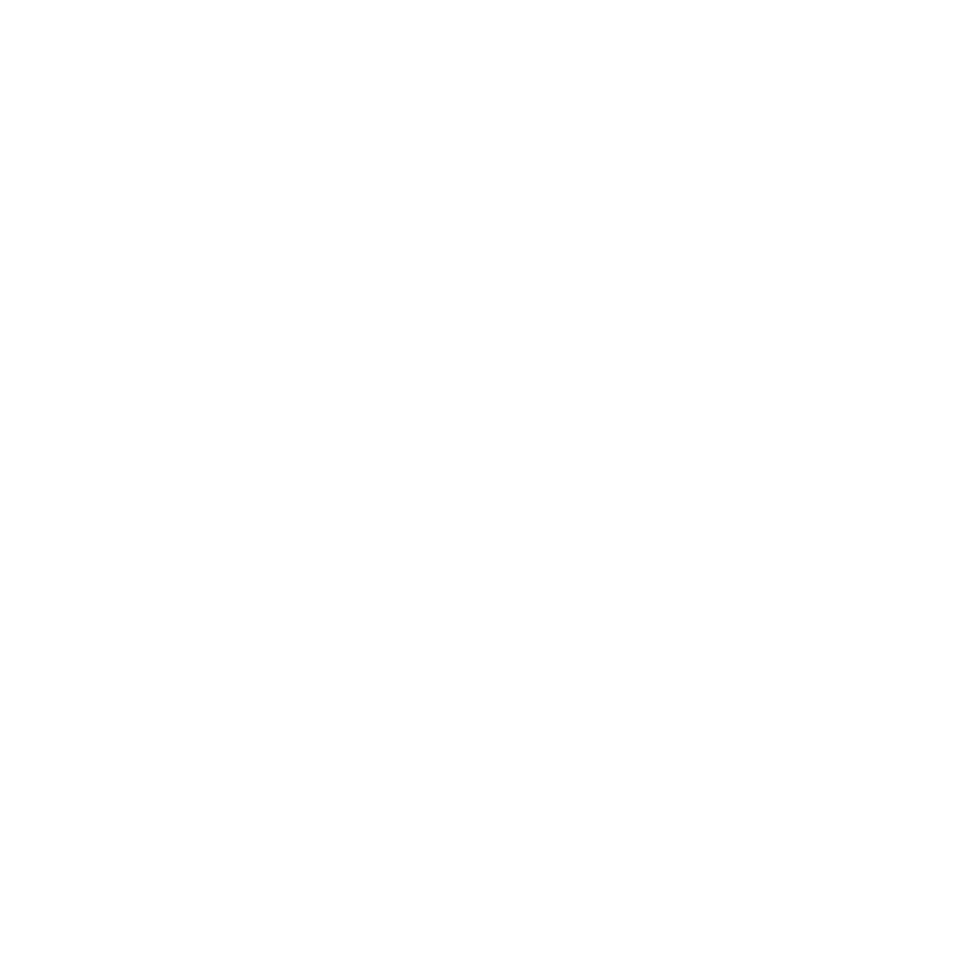 Amir Ghodsi