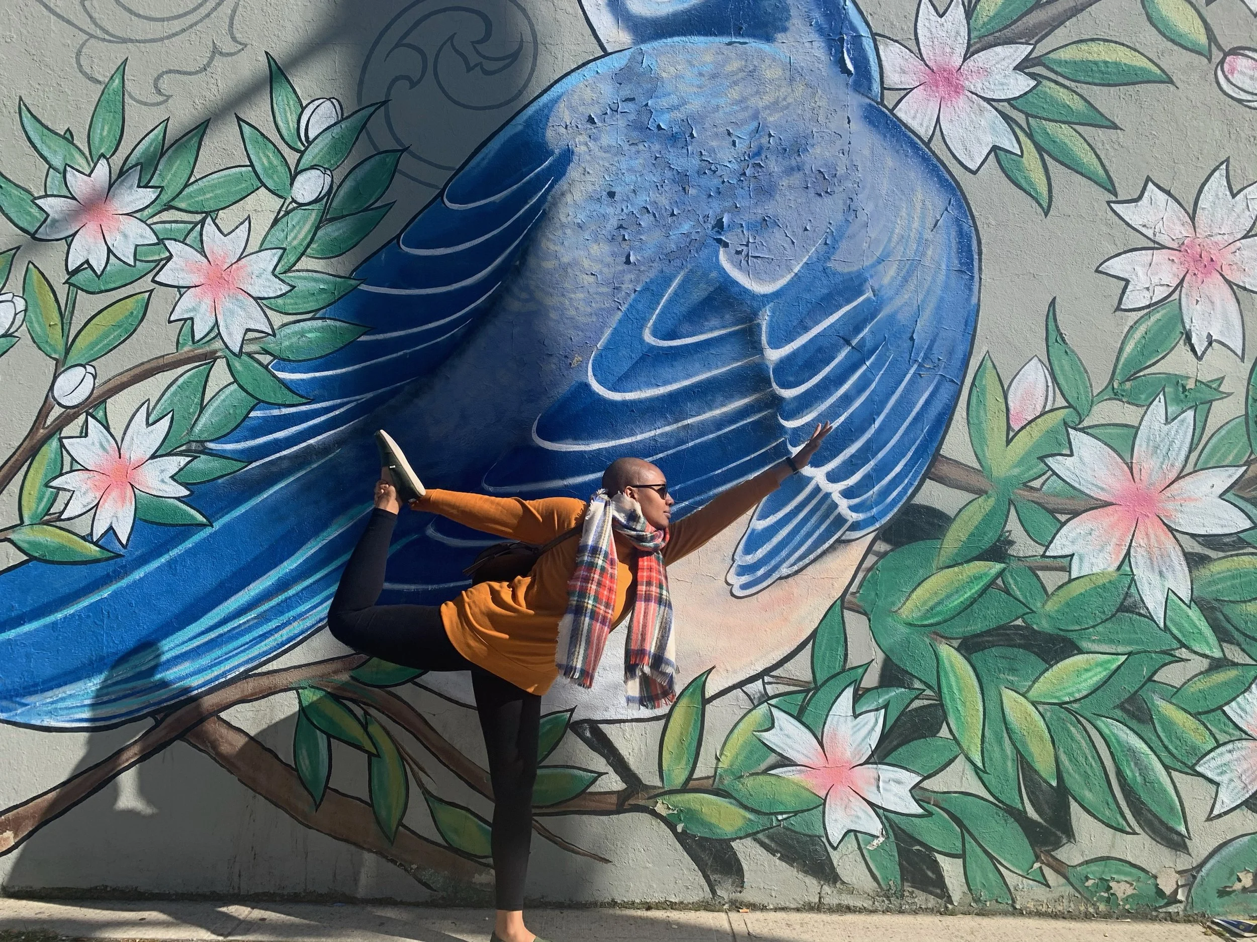 Person practicing yoga outdoors in a yoga pose in front of a colorful mural of a blue bird and pink flowers on a wall.