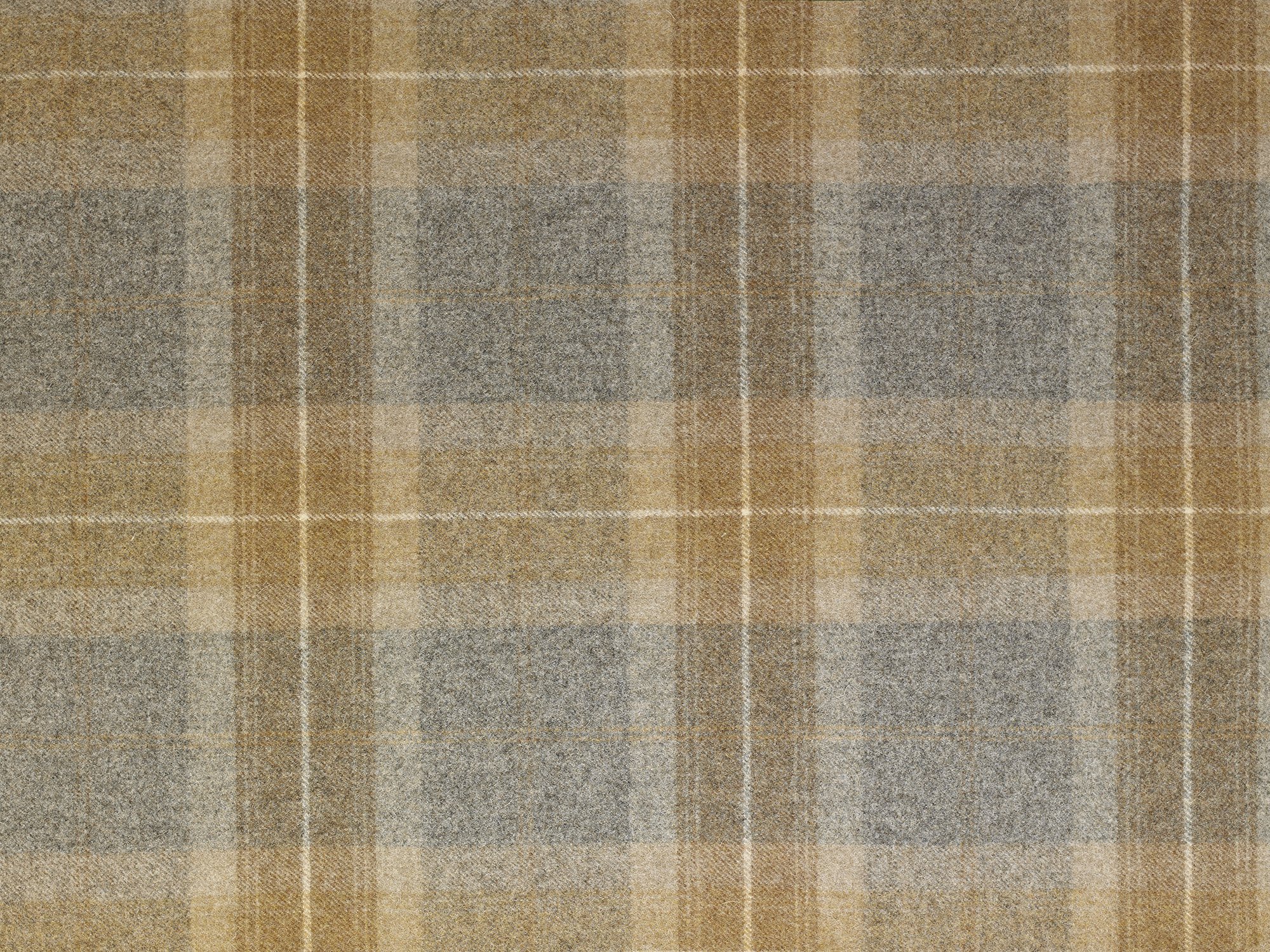 AS-TARTAN-BALMORAL.jpeg