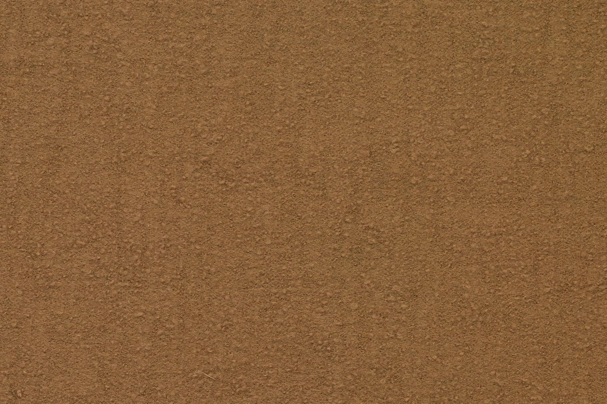 AS-BURFORD-HAZELNUT.jpeg