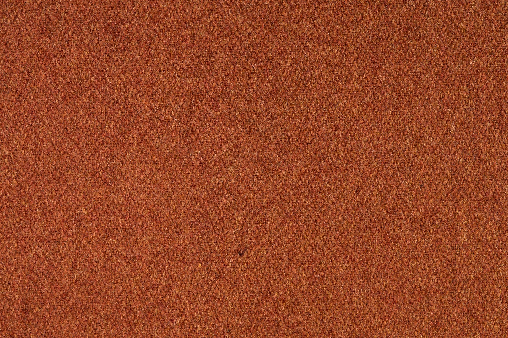 AS-AKI-RUST.jpeg