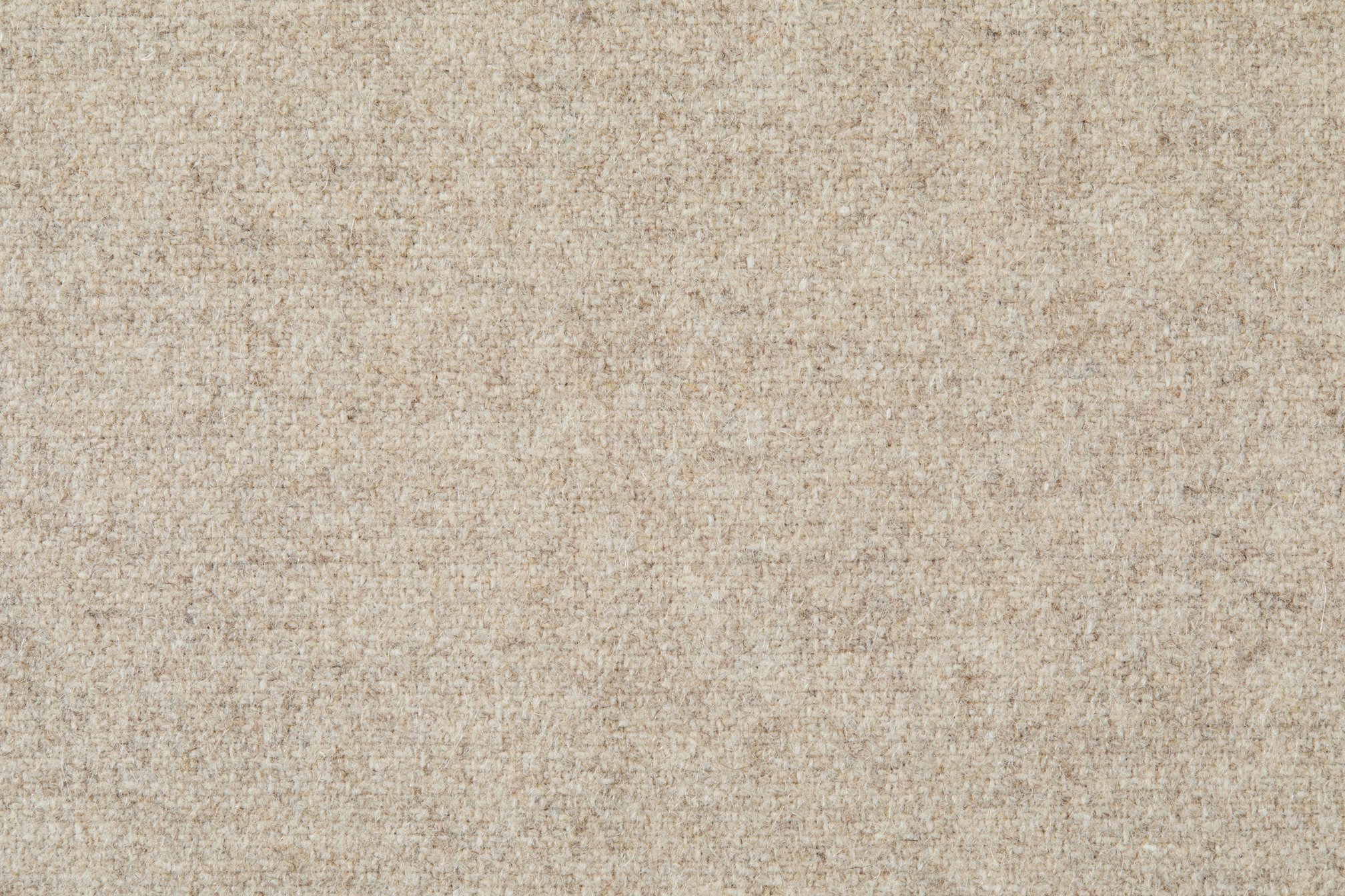 AS-DUNESCAPE-SILT.jpeg